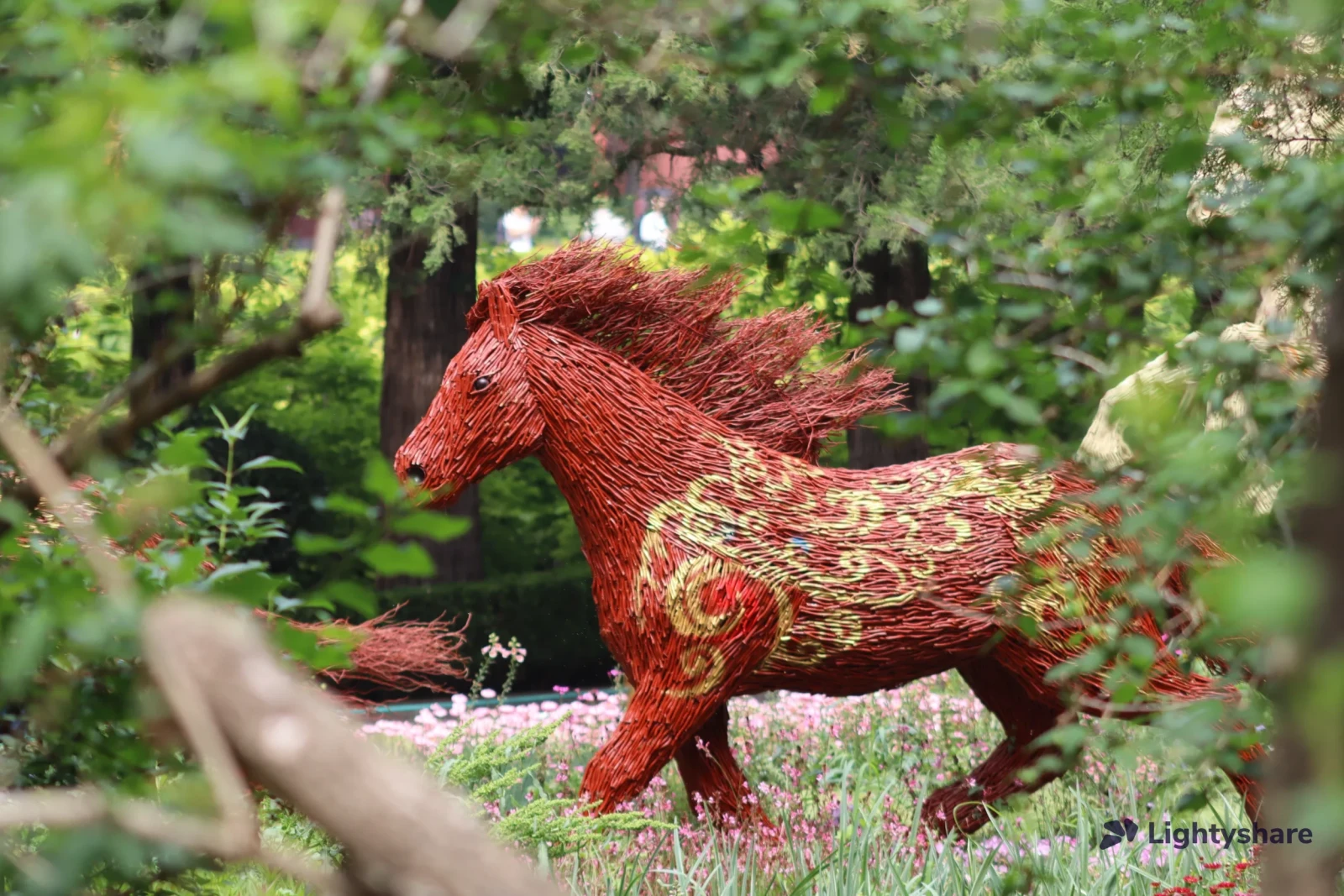 Canon EF 75-300mm f/4-5.6 - Photo 10 sur 11
