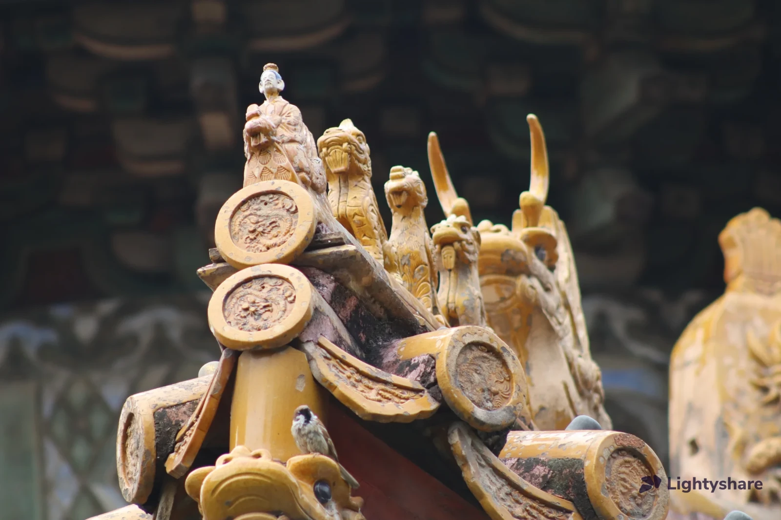 Canon EF 75-300mm f/4-5.6 - Photo 9 sur 11