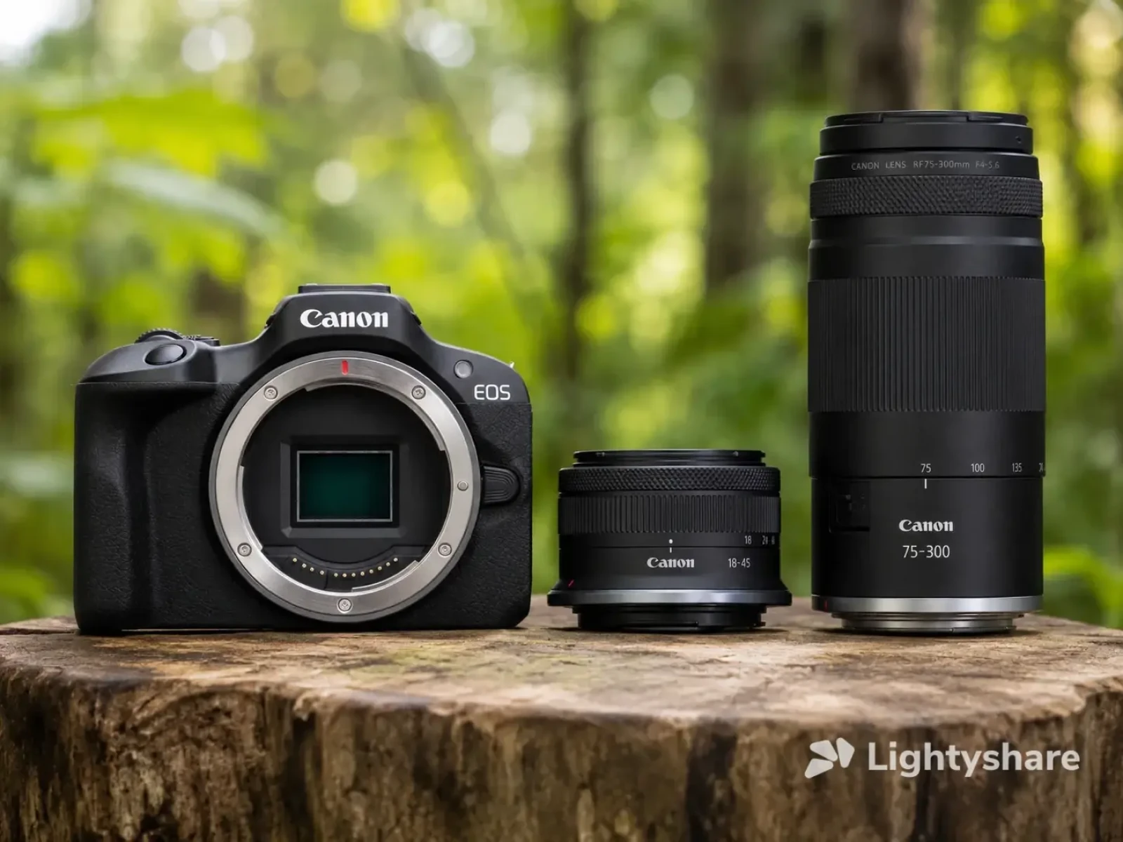 Canon Pack EOS R100 + RF-S 18-45mm F4.5-6.3 IS STM + RF 75-300mm F4-5.6 + 4 Batteries + carte SD 64GB - Photo 1 sur 17