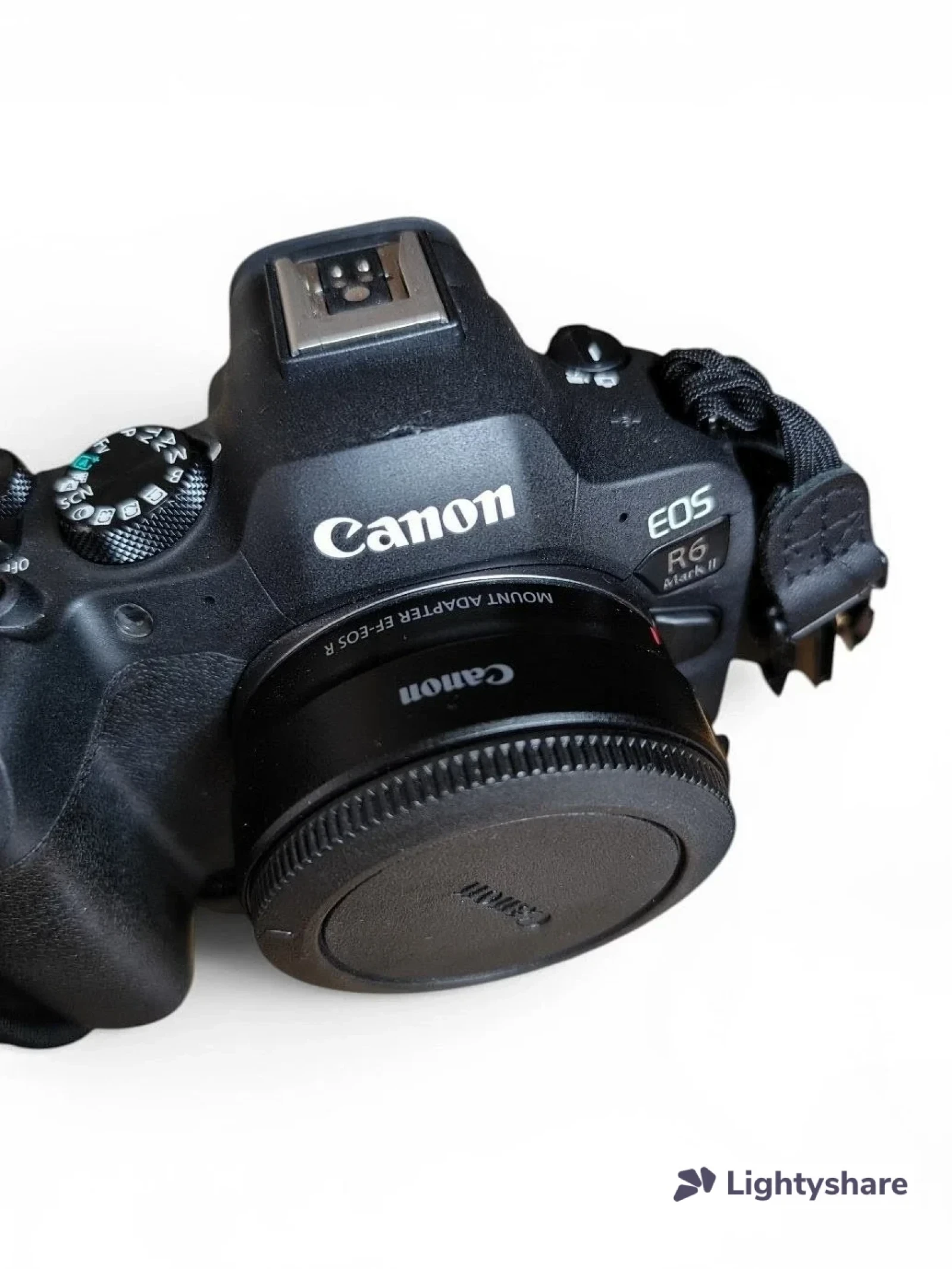Canon R6 Mark II - Photo 2 sur 5
