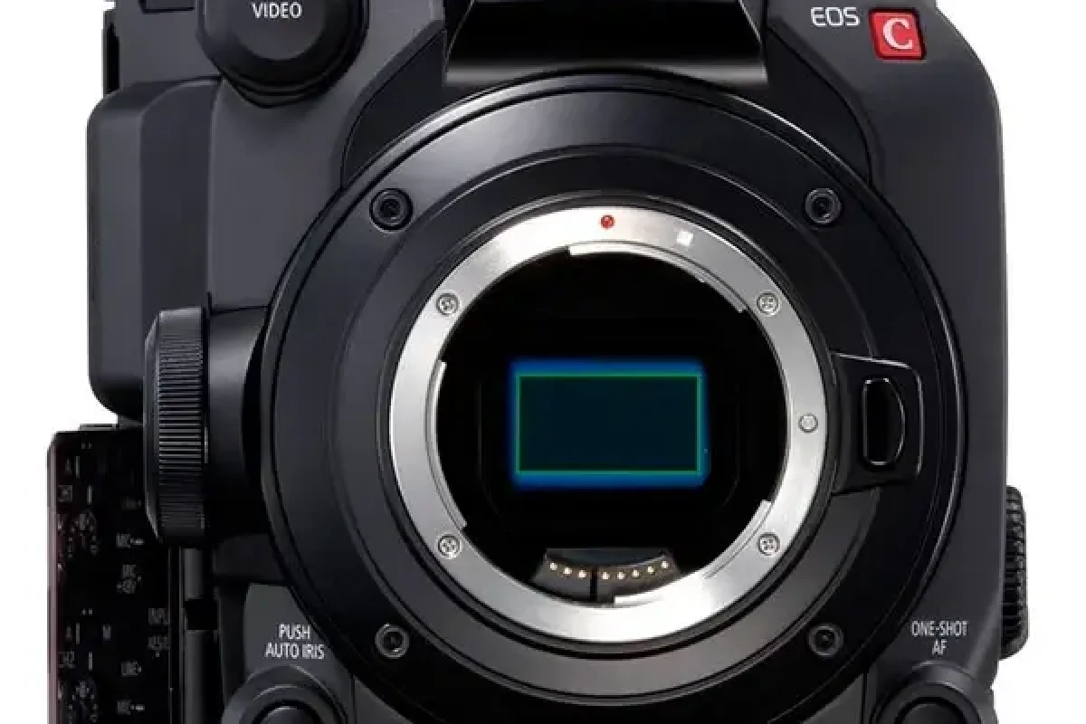 Location Canon EOS C300 Mark III - Lightyshare