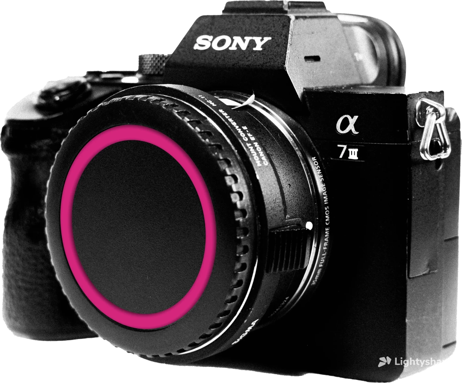 Sony Alpha 7 III (A73) - Photo 1 sur 1
