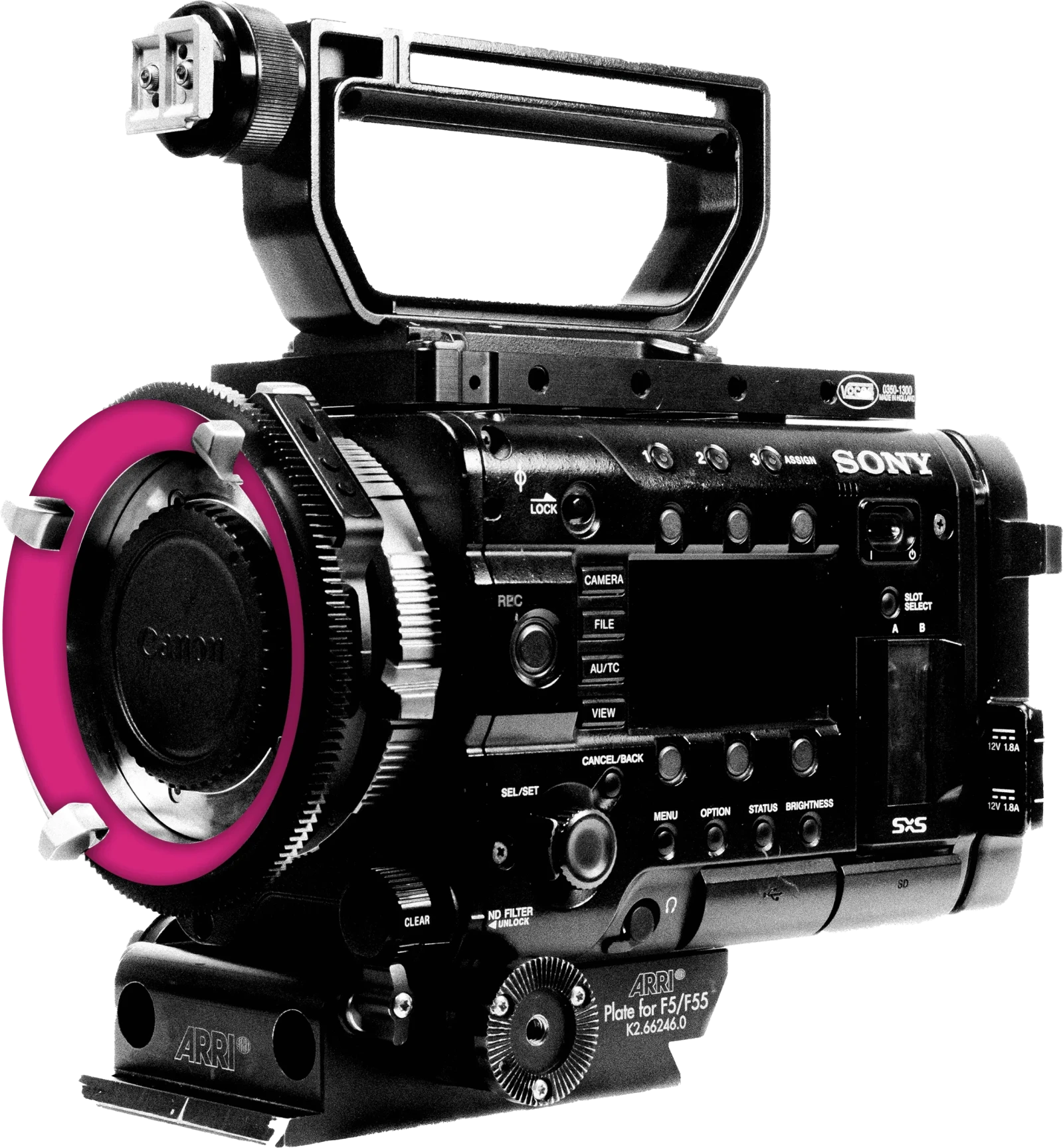 Sony PMW-F55 - Photo 1 sur 1
