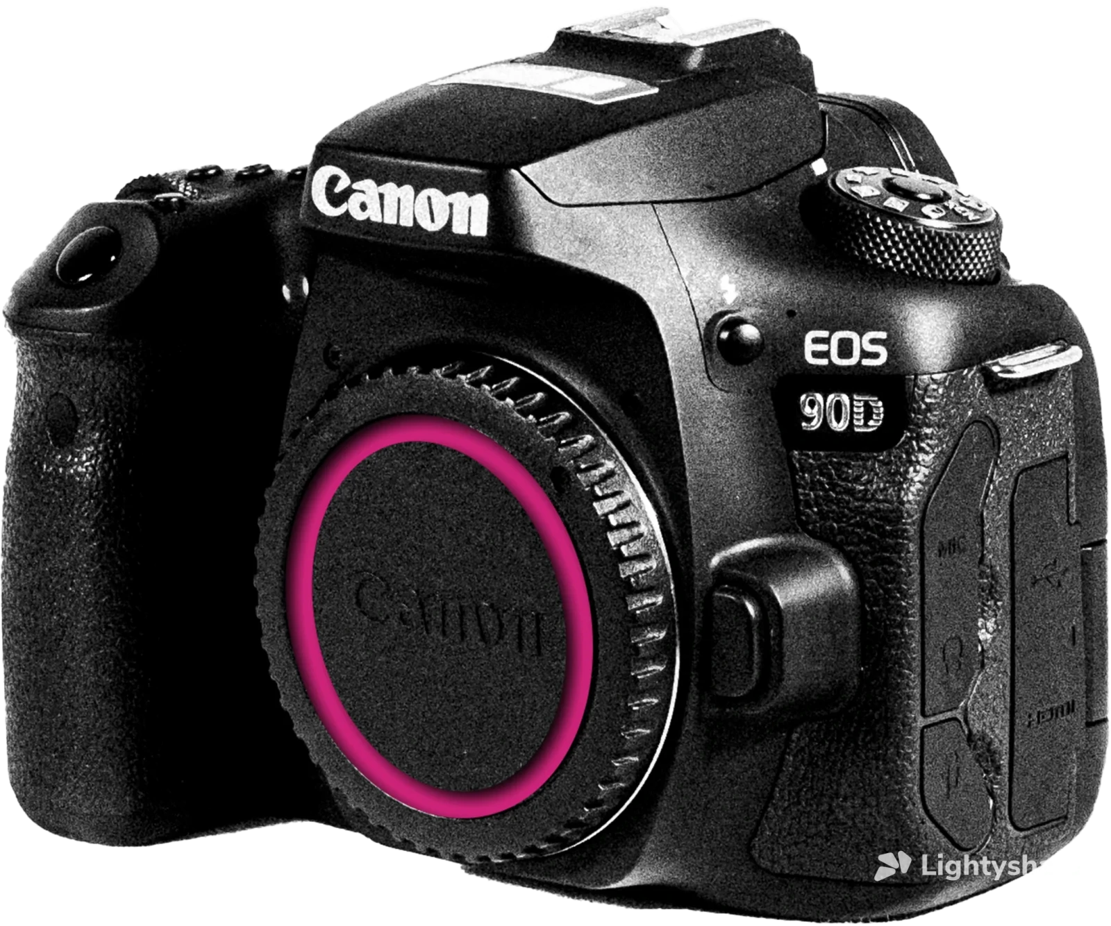 Canon 90D - Photo 1 sur 1