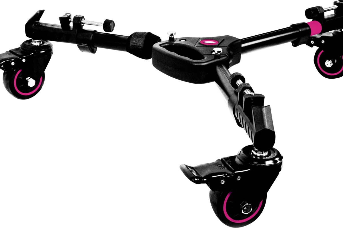 Rent Neewer Dolly - Lightyshare