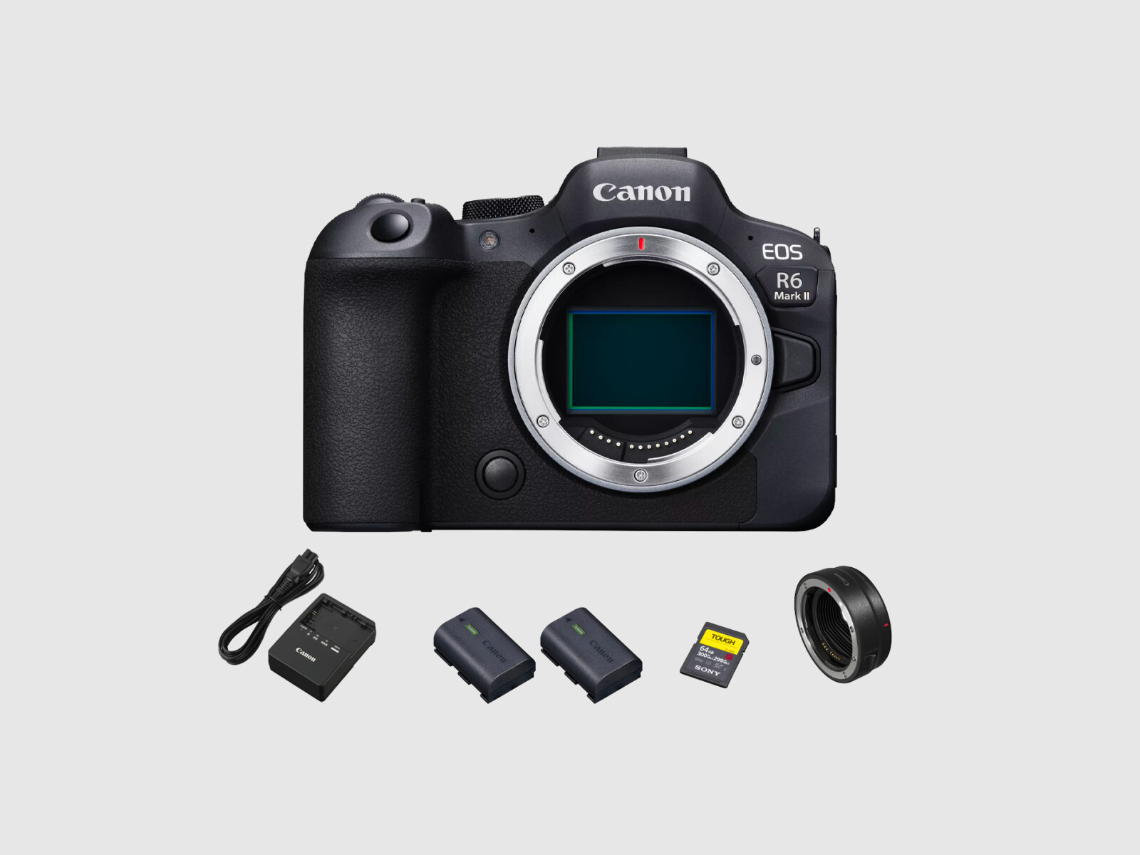 Canon R6 Mark II - Photo 1 sur 1