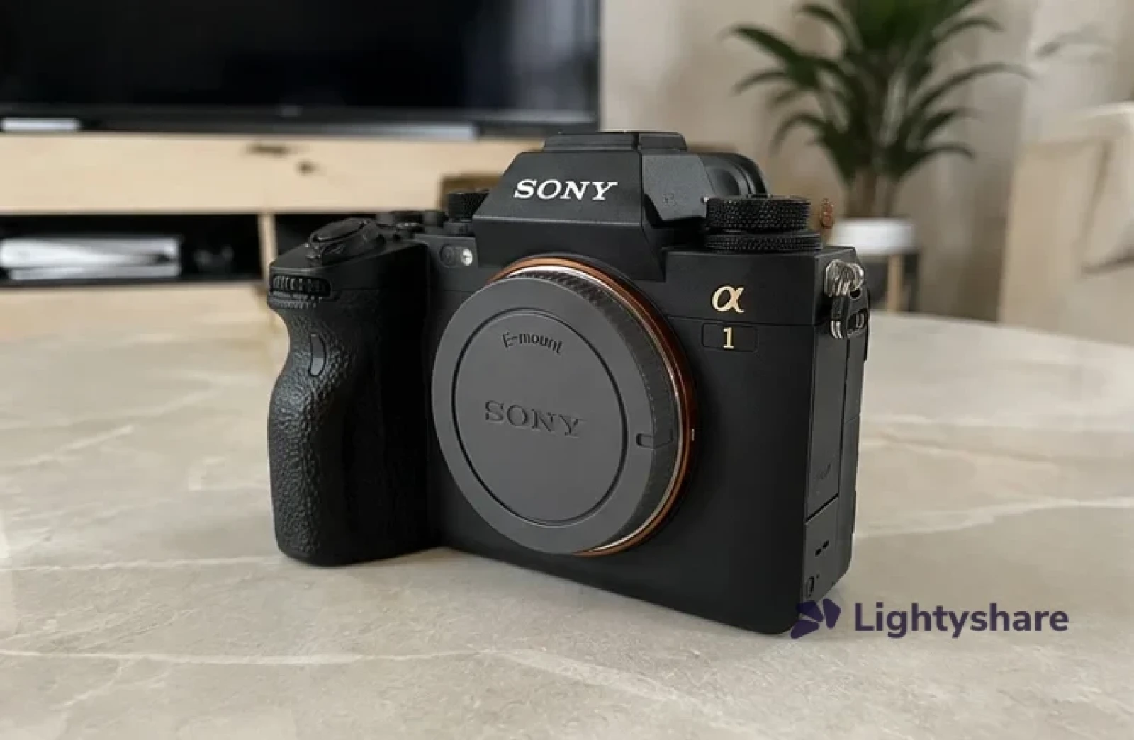 Sony Alpha 1 (Alpha 1) (ILCE-1) - Photo 2 sur 5