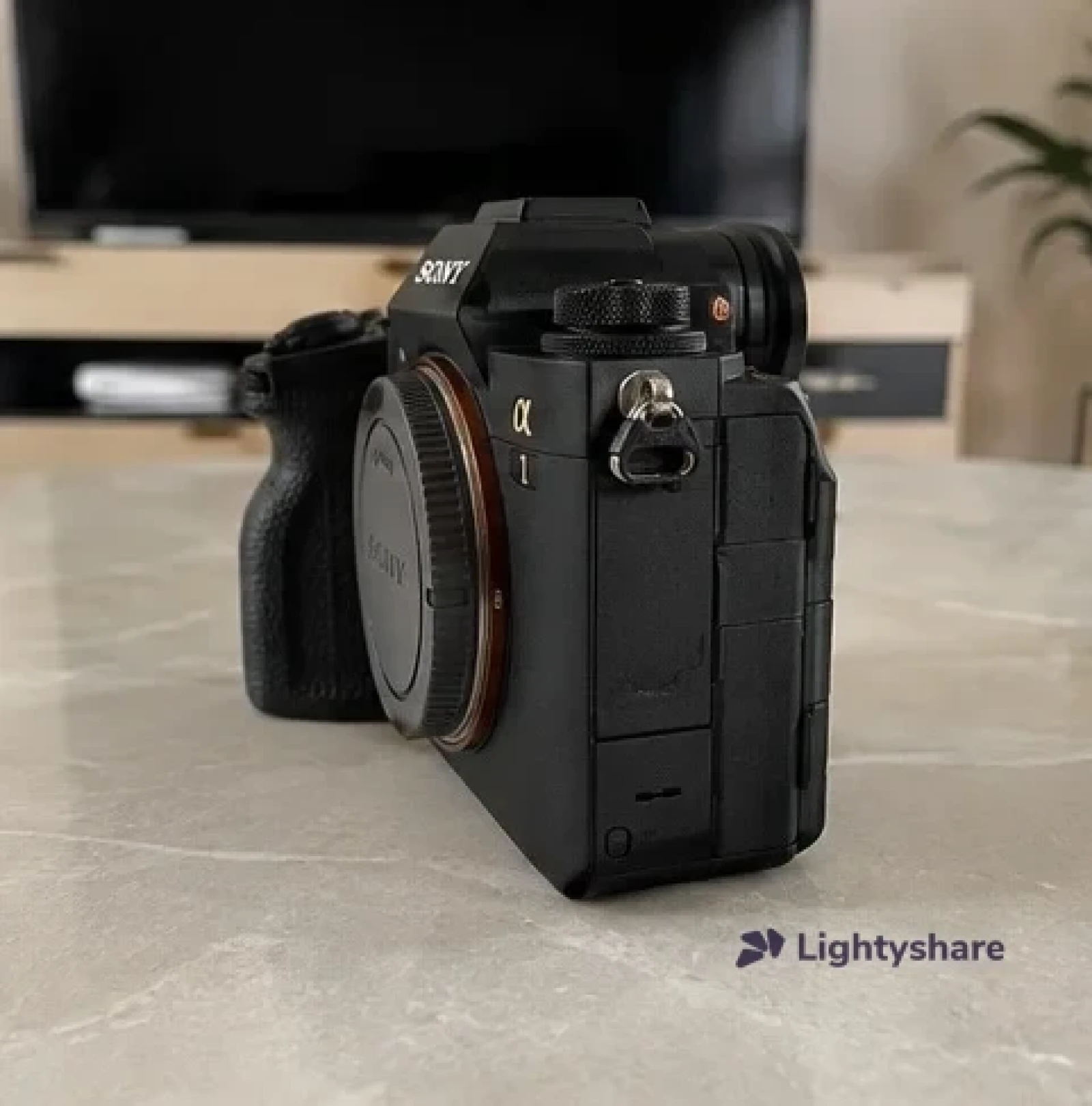 Sony Alpha 1 (Alpha 1) (ILCE-1) - Photo 1 sur 5