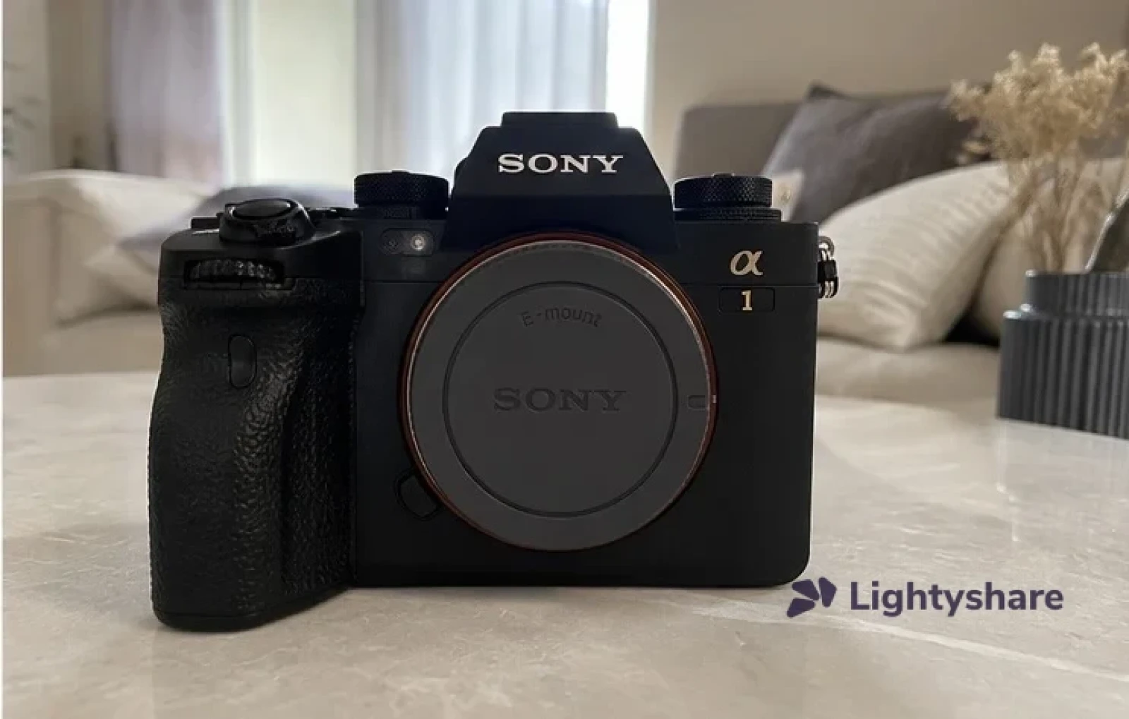 Sony Alpha 1 (Alpha 1) (ILCE-1) - Photo 4 sur 5