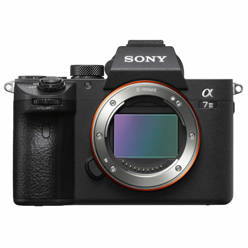 Sony Alpha 7 III (A73)