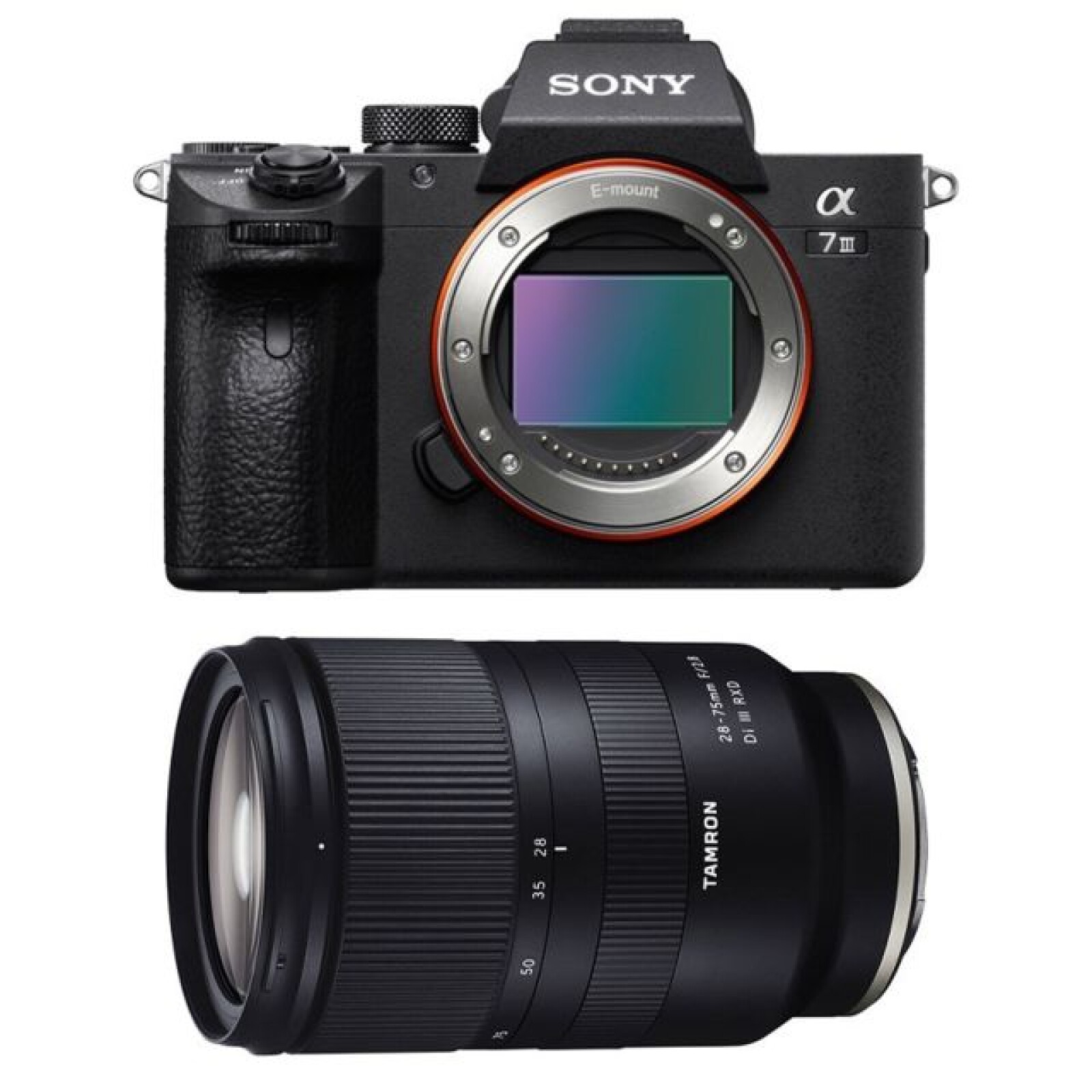 Pack Sony A7iii + Tamron 28-75mm f/2.8 Di III RXD - Photo 4 sur 4