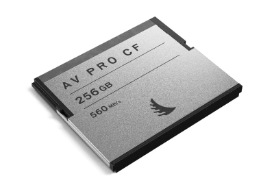Location Angelbird Carte SD AngelBird V90 256 Go