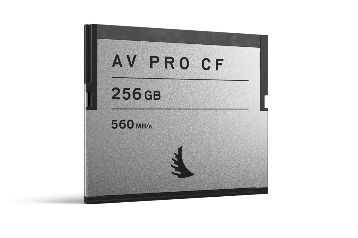 Location Angelbird Carte SD AngelBird V90 256 Go - Lightyshare