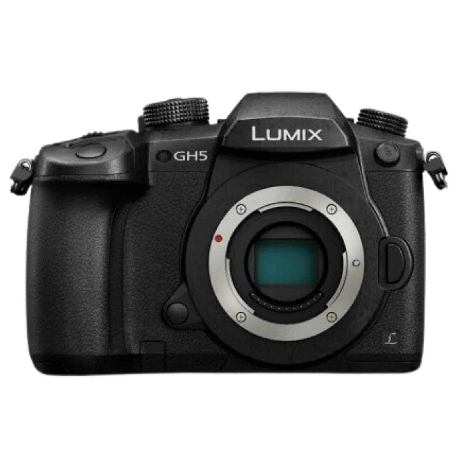 Lumix GH5 - Photo 1 sur 1