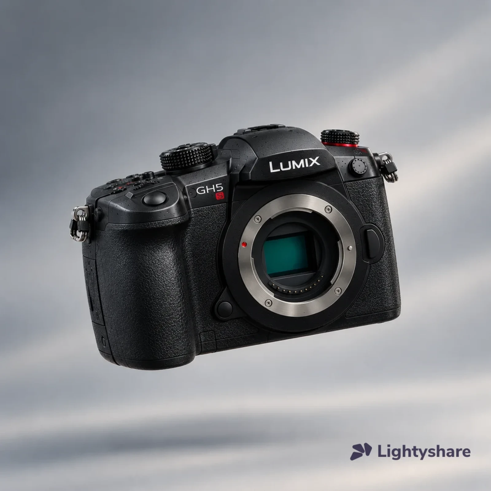 Panasonic LUMIX GH5S - Photo 1 sur 1