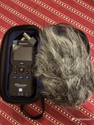 Location Zoom H4essential