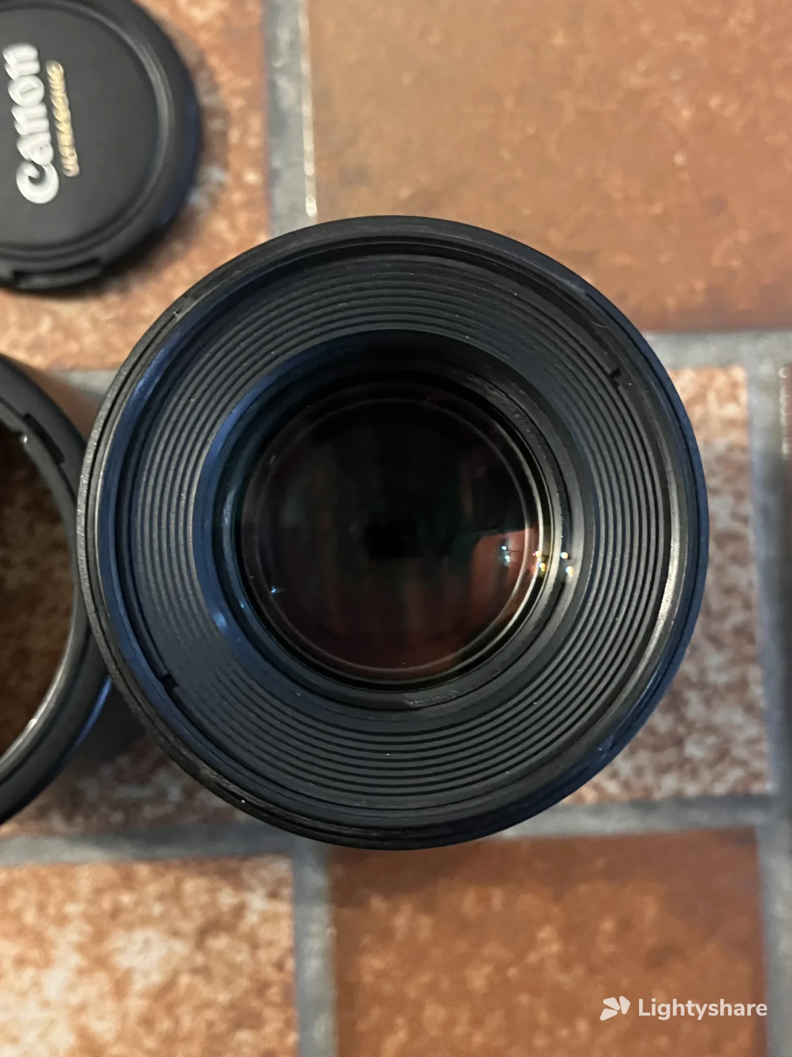 Canon EF 100mm f/2.8L Macro IS USM - Photo 3 sur 4