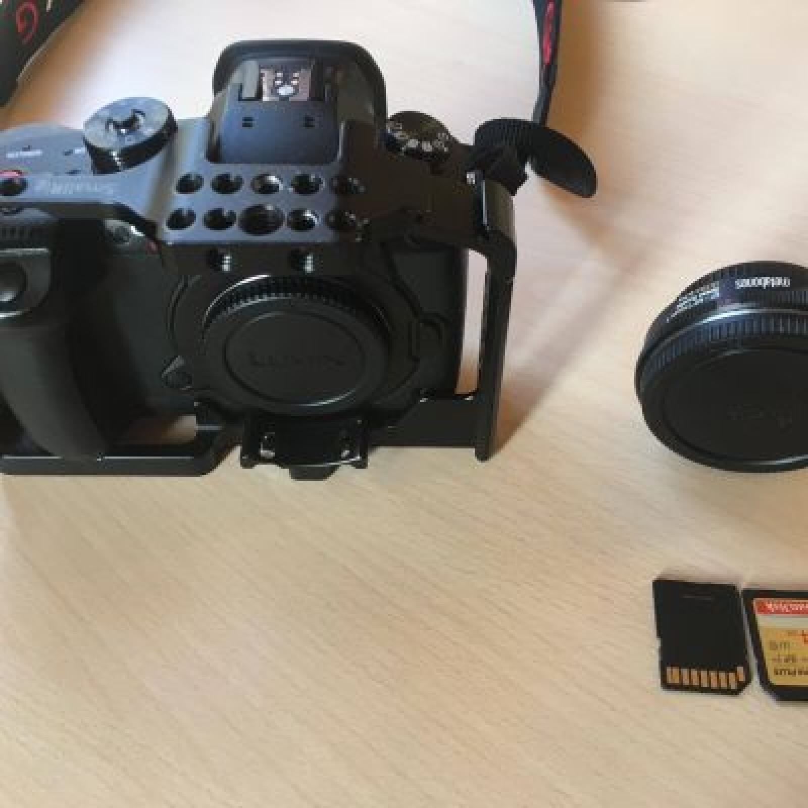 GH5S + Metabones Ultra (0.71x) - Photo 1 sur 2