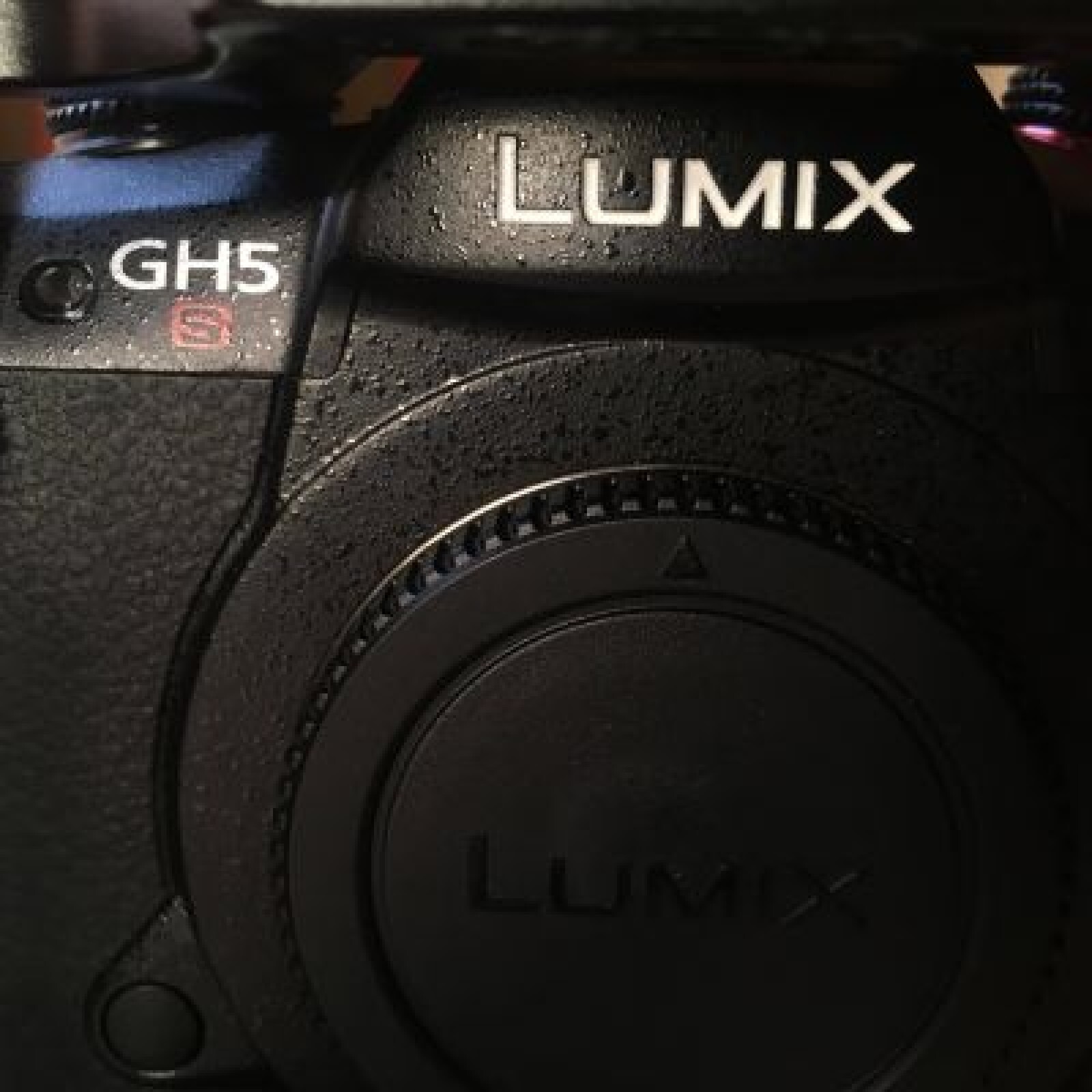 GH5S + Metabones Ultra (0.71x) - Photo 2 sur 2