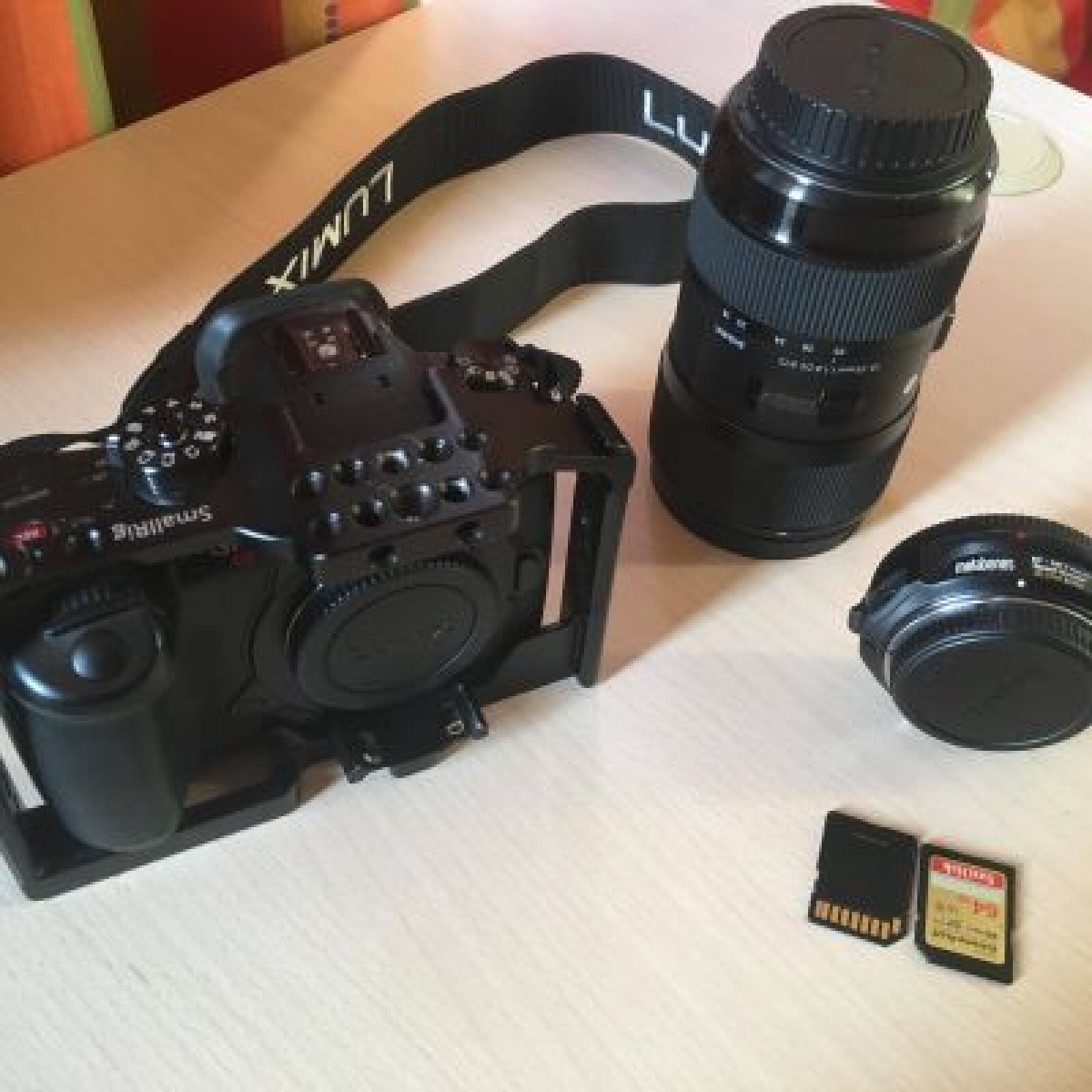 GH5S + Metabones Ultra (0.71x) + deux objectifs - Photo 1 sur 2