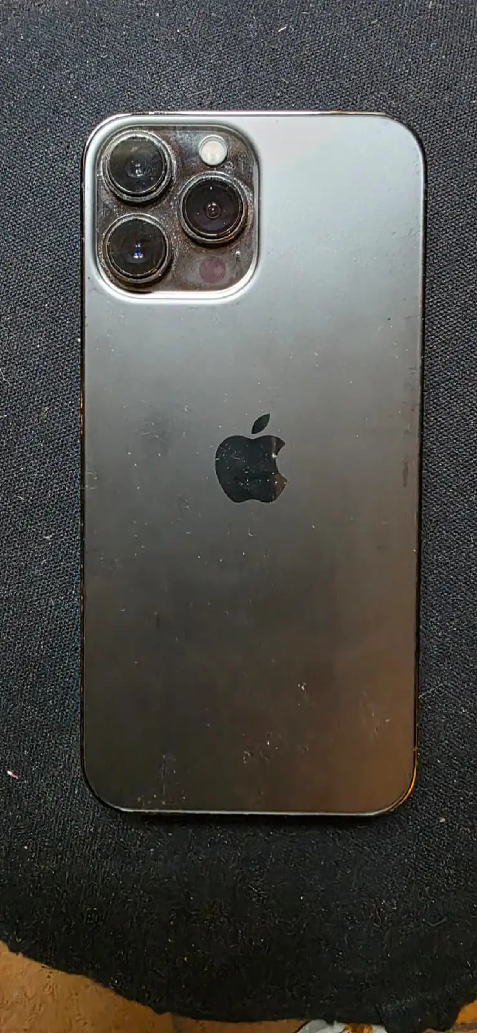 Apple Iphone 13 - Photo 1 sur 1