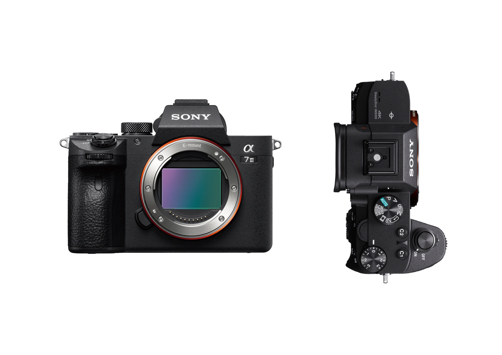 Sony Alpha 7 III (A73) - Photo 1 sur 3