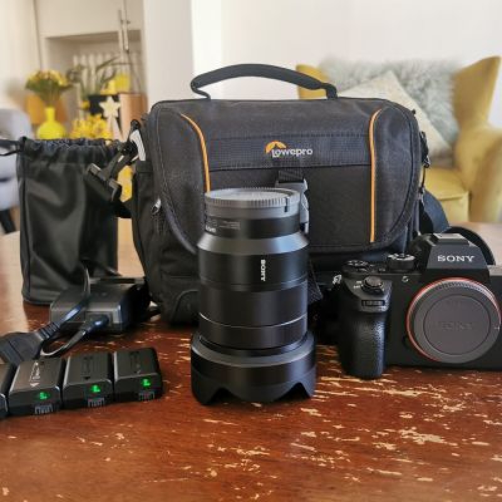 Sony A7SII + OBJ 24-70 mm F4 + 4x battery - Photo 1 sur 5