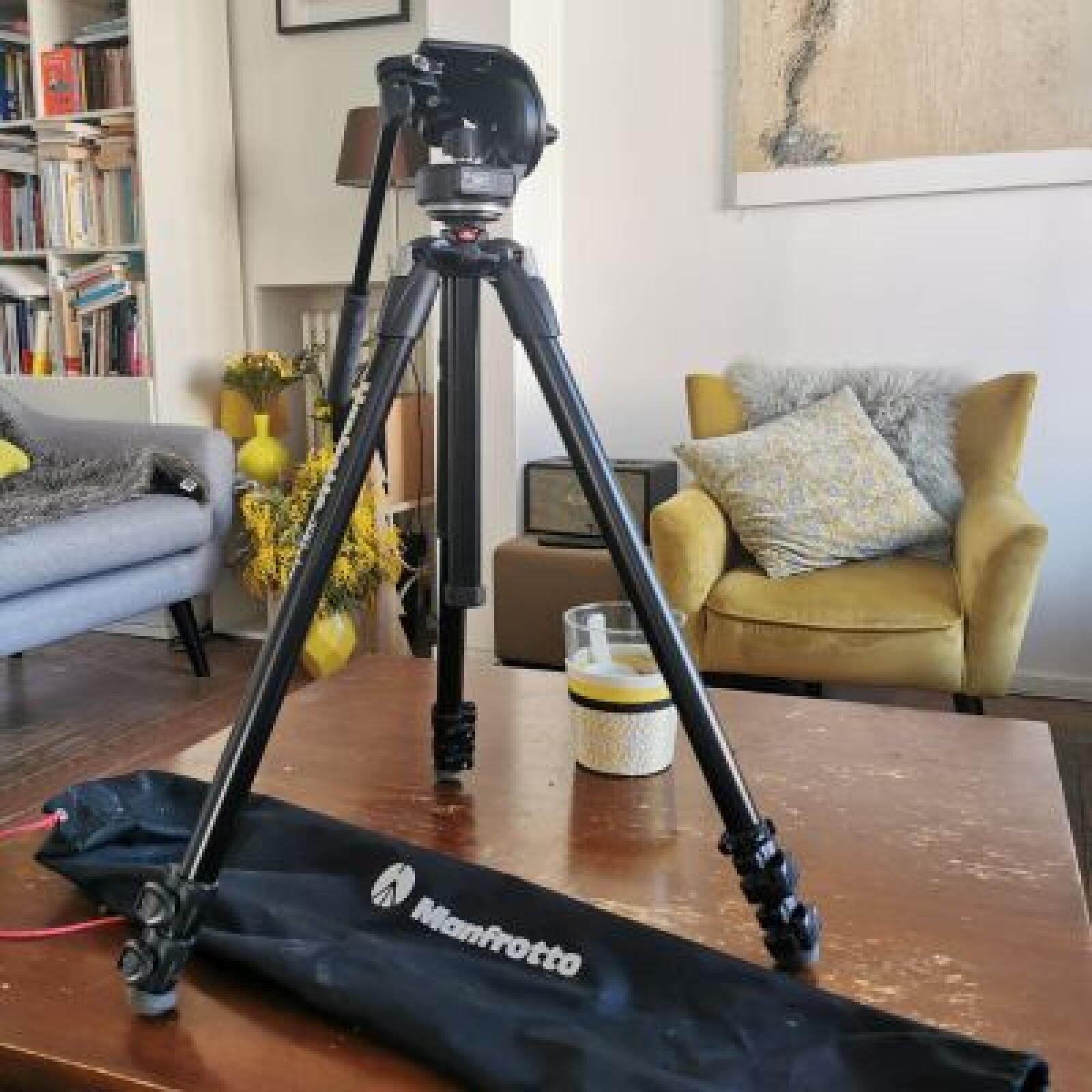 TREPIED MANFROTTO 290 xtra + TÊTE FLUIDE - Photo 1 sur 5