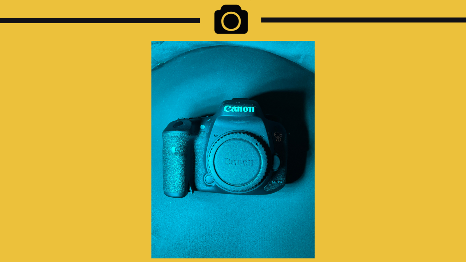 Canon 7D Mark II - Photo 1 sur 5