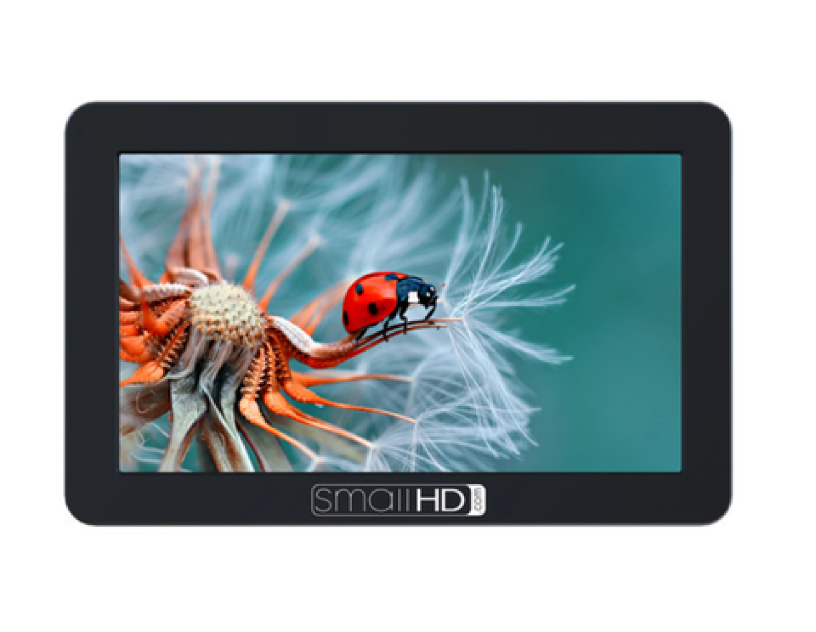 Moniteur 5 pouce Small HD focus Tactile + x3 batteries - Photo 2 sur 4