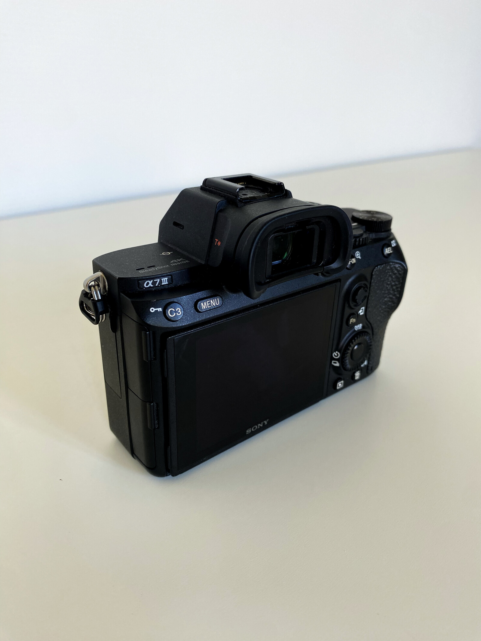 Sony Alpha 7 III (A73) - Photo 4 sur 8