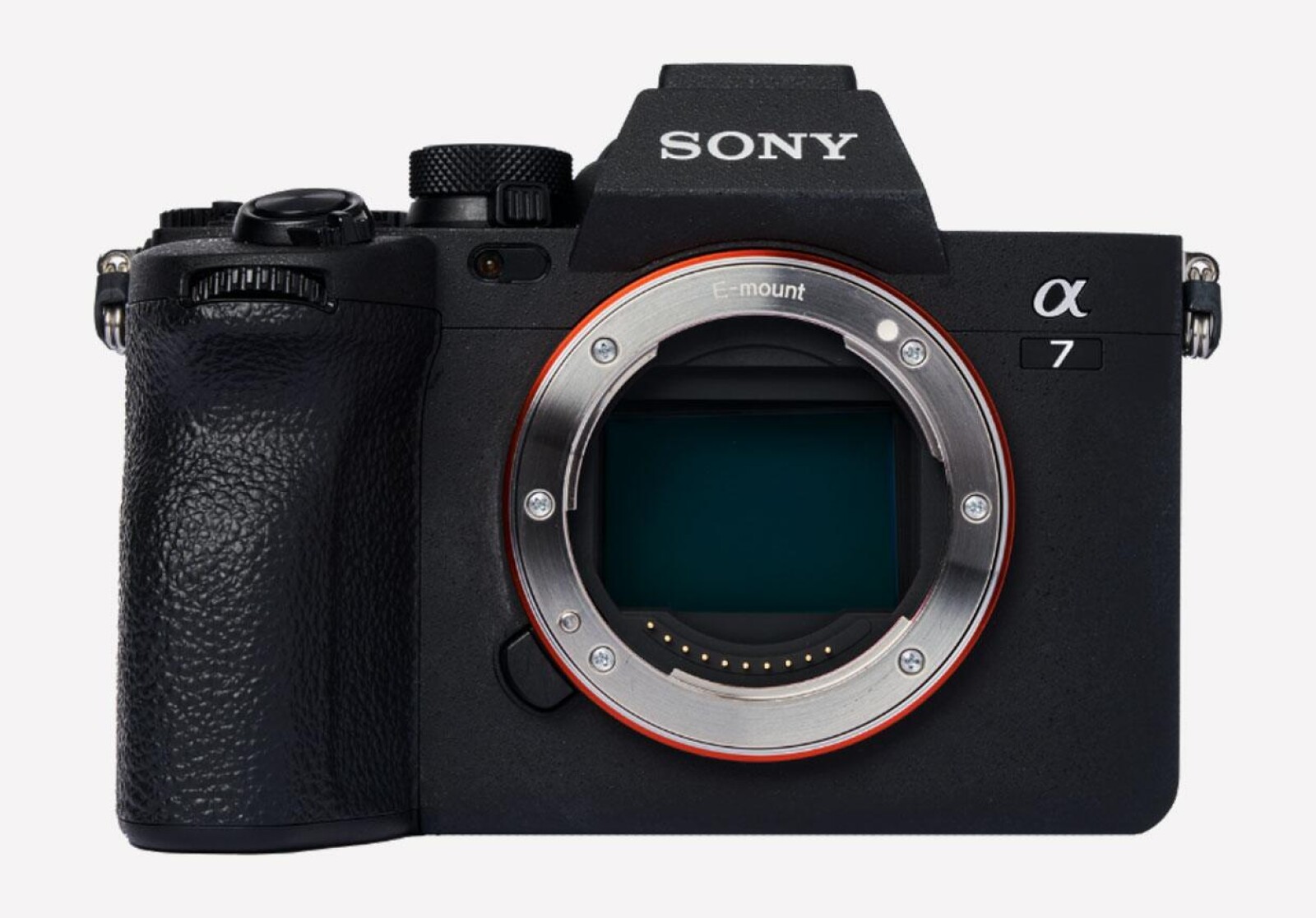 Sony Alpha 7 IV - Photo 1 sur 1