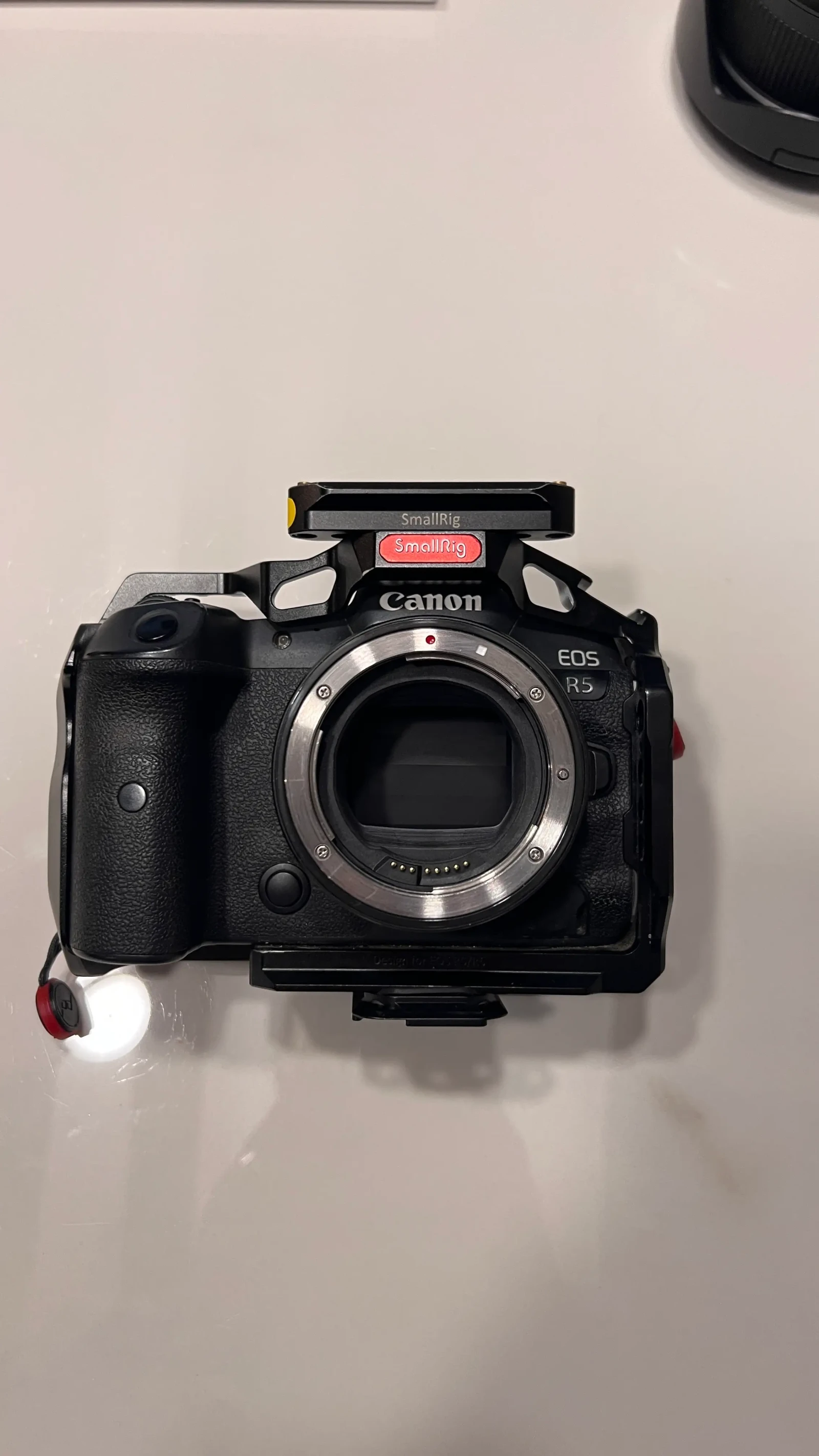 Canon EOS R5 - Photo 1 sur 5