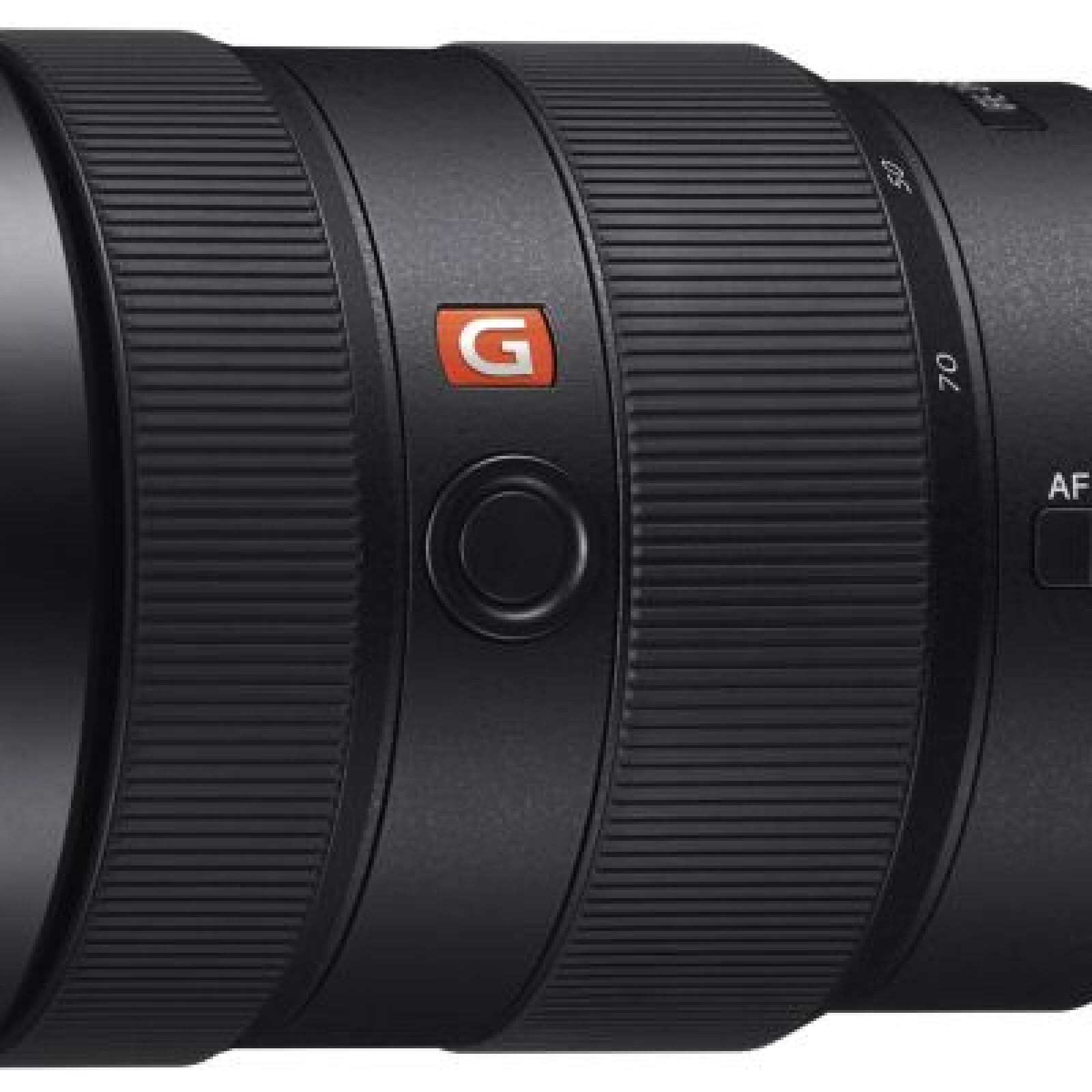Sony FE 24-70mm f/2.8 GM - Photo 1 sur 1