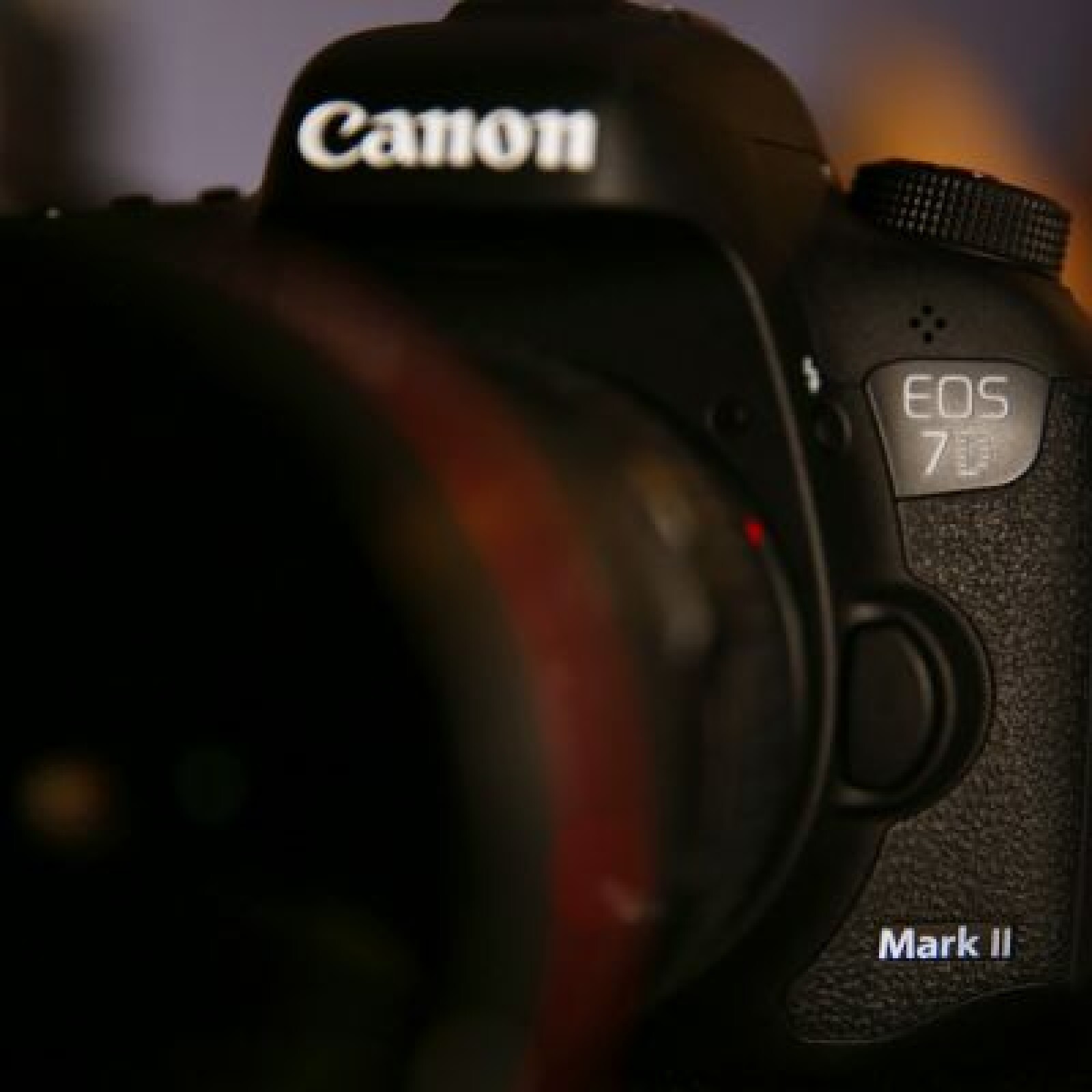 Canon 7D mkII boitier nu - Photo 1 sur 4