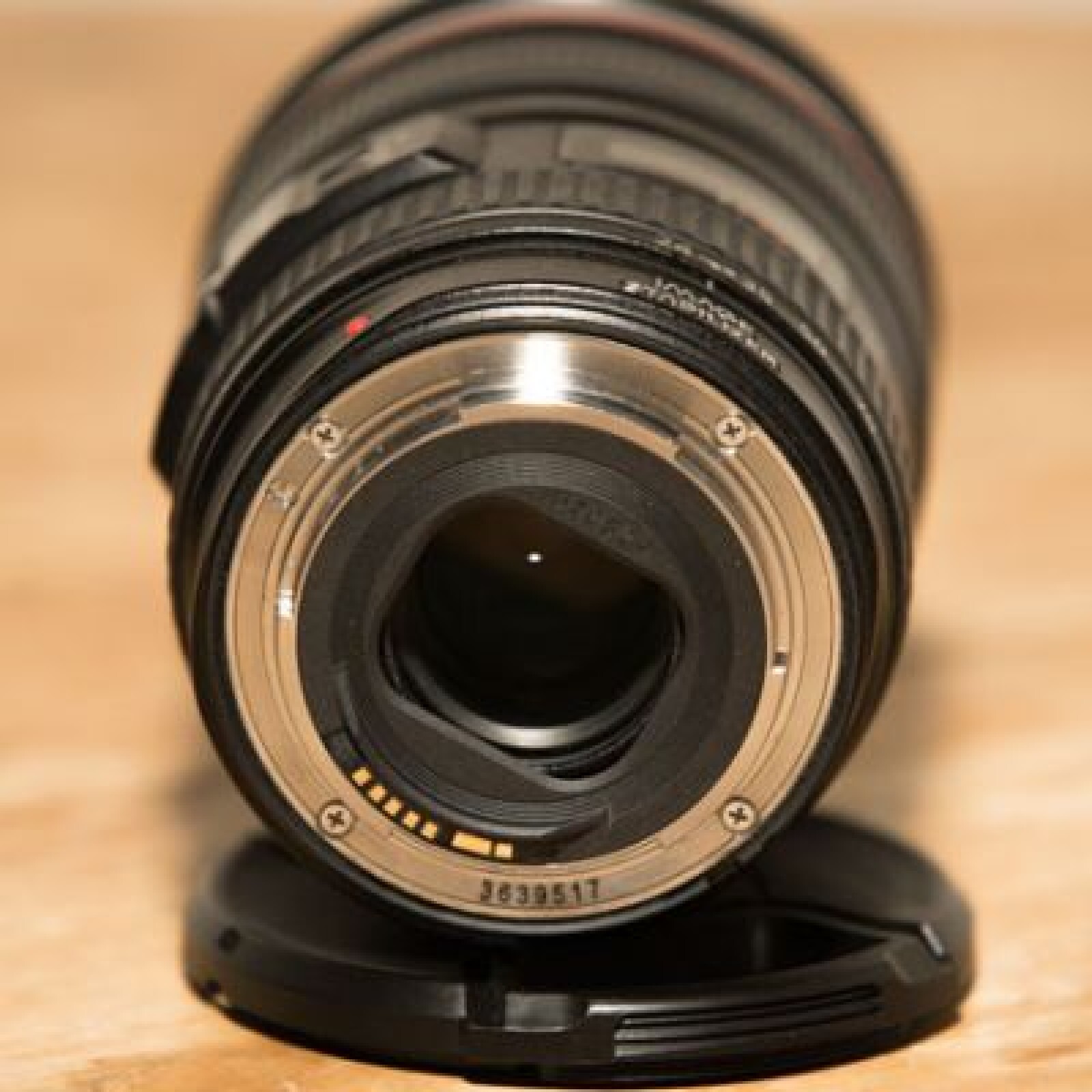 Canon optique L: 24-105 mm - Photo 3 sur 3
