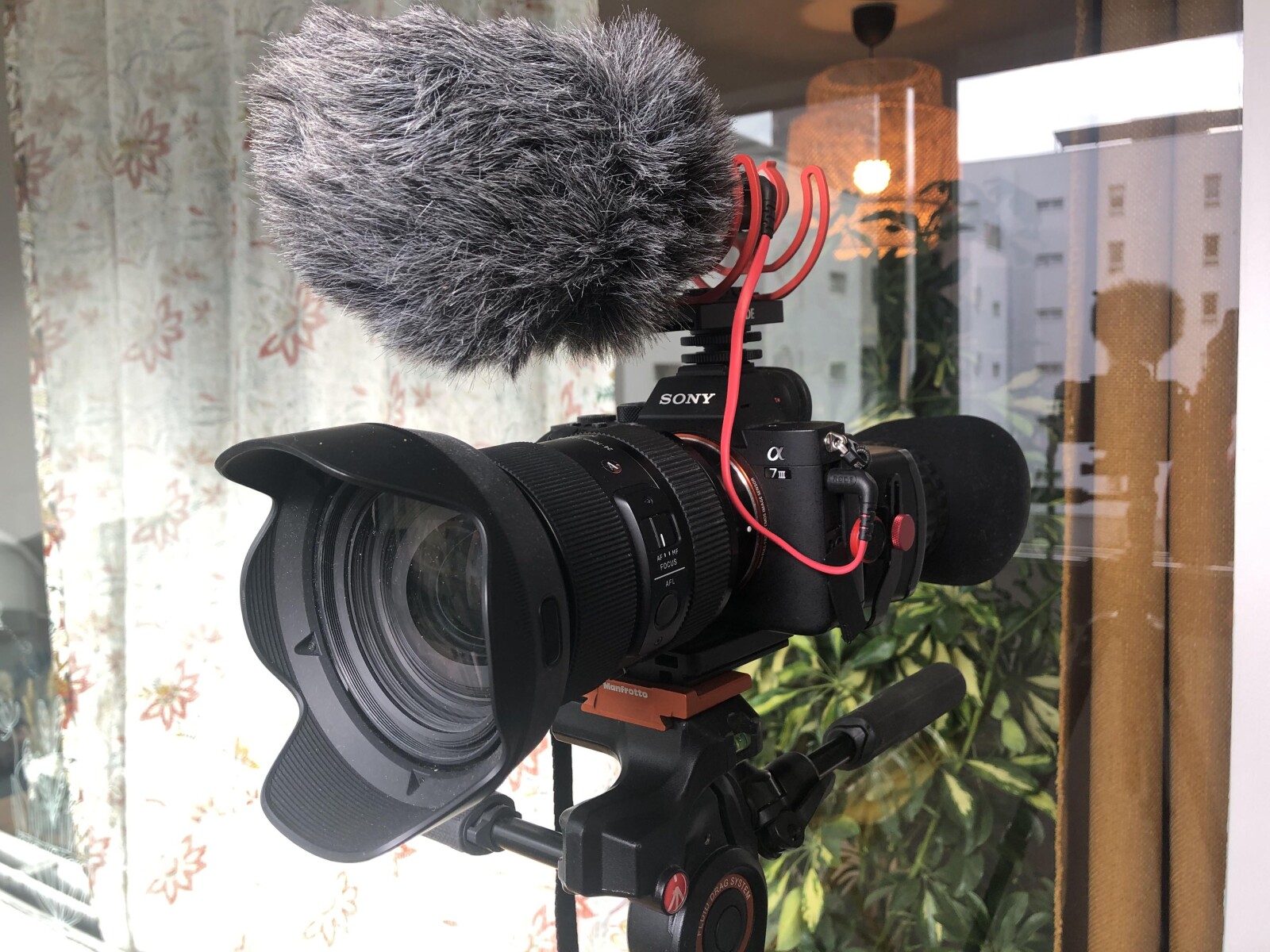 Sony Alpha 7 III (A73) - Photo 1 sur 6