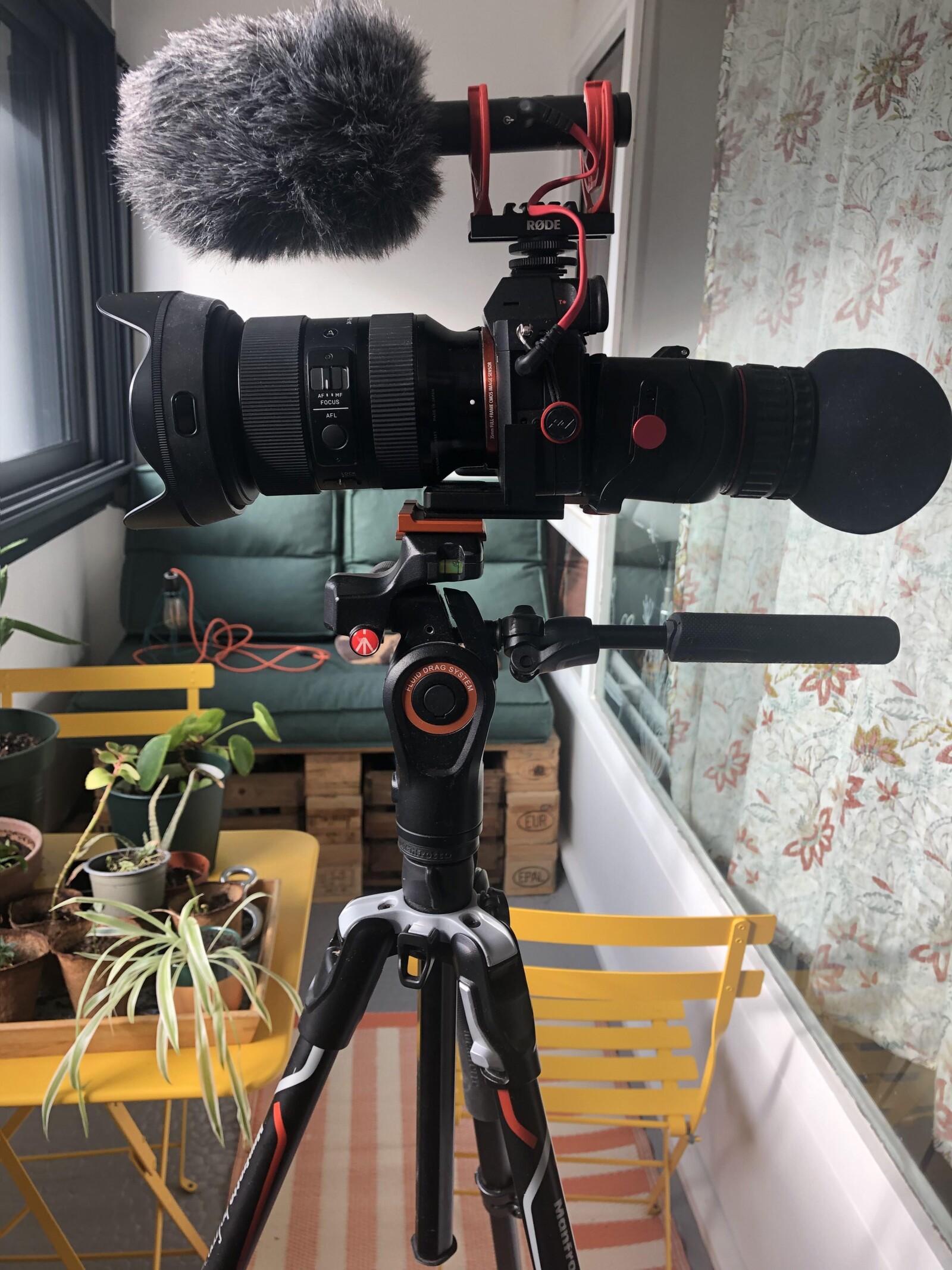 Sony Alpha 7 III (A73) - Photo 2 sur 6