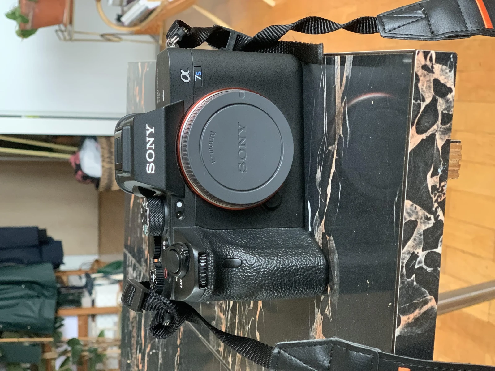 Sony Alpha 7S III (A7S3) - Photo 1 sur 5
