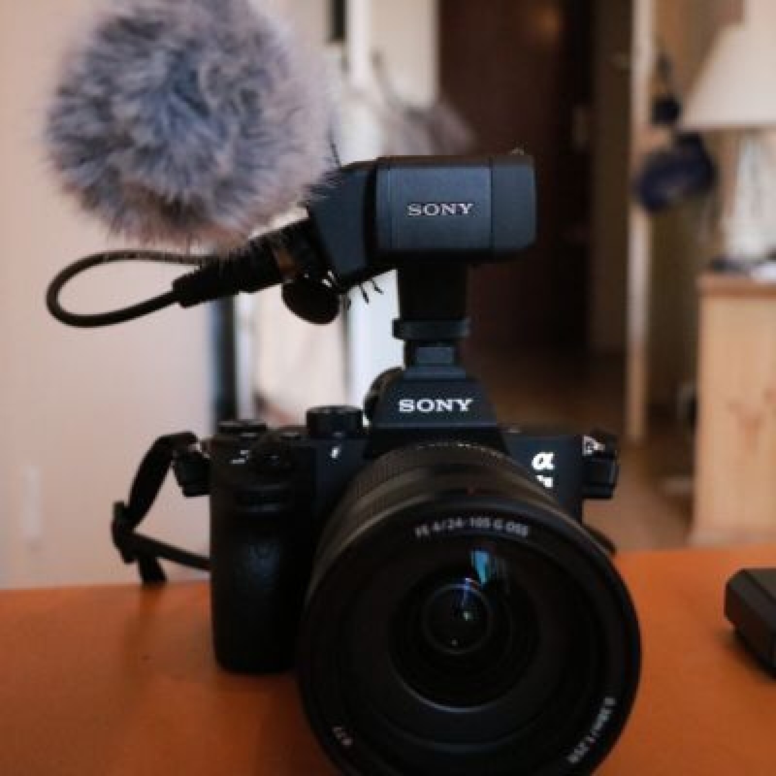 Alpha 7 III boitier nu - Photo 2 sur 3