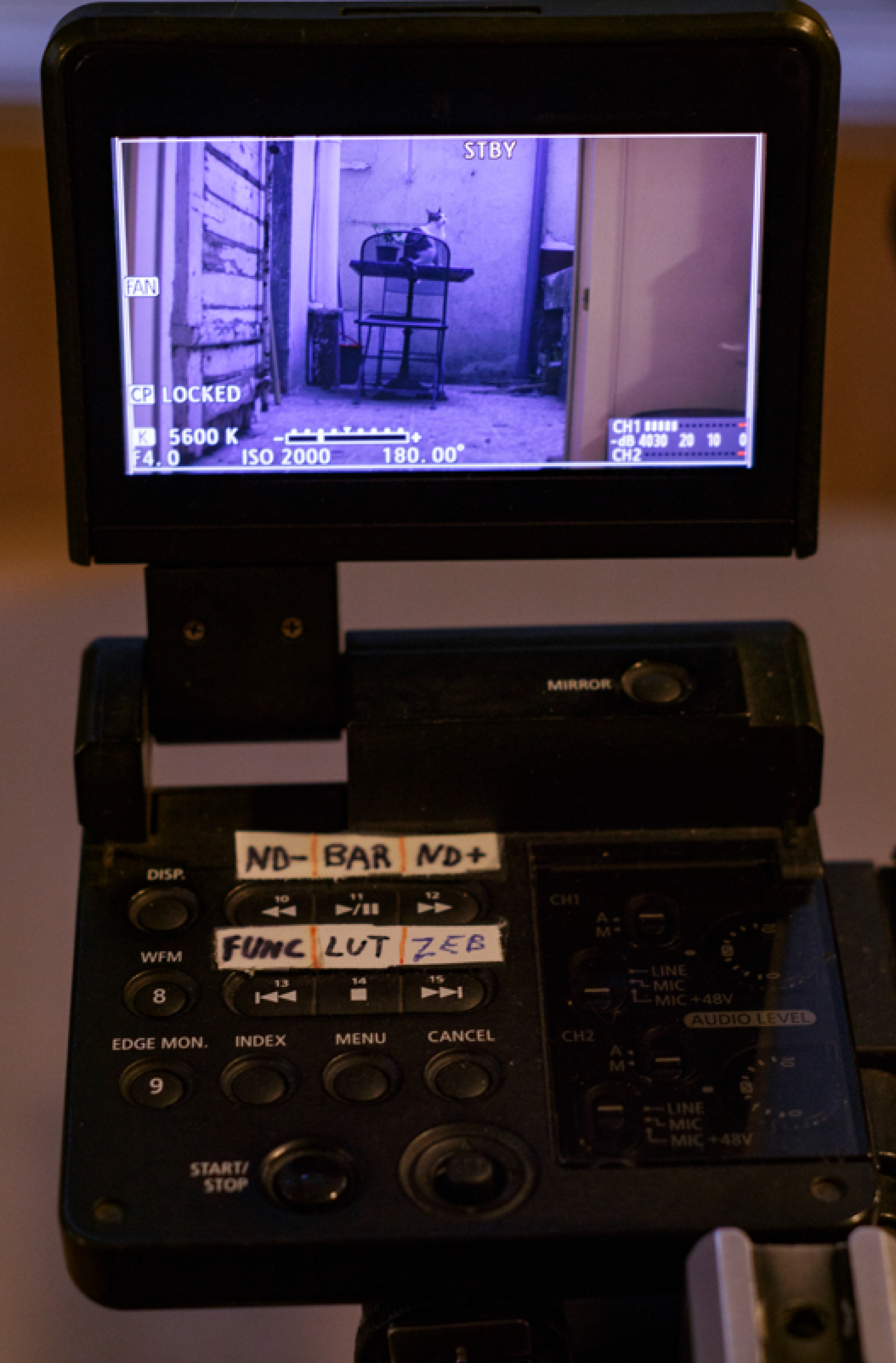 Canon EOS C300 - Pack complet tournage - Photo 7 sur 7