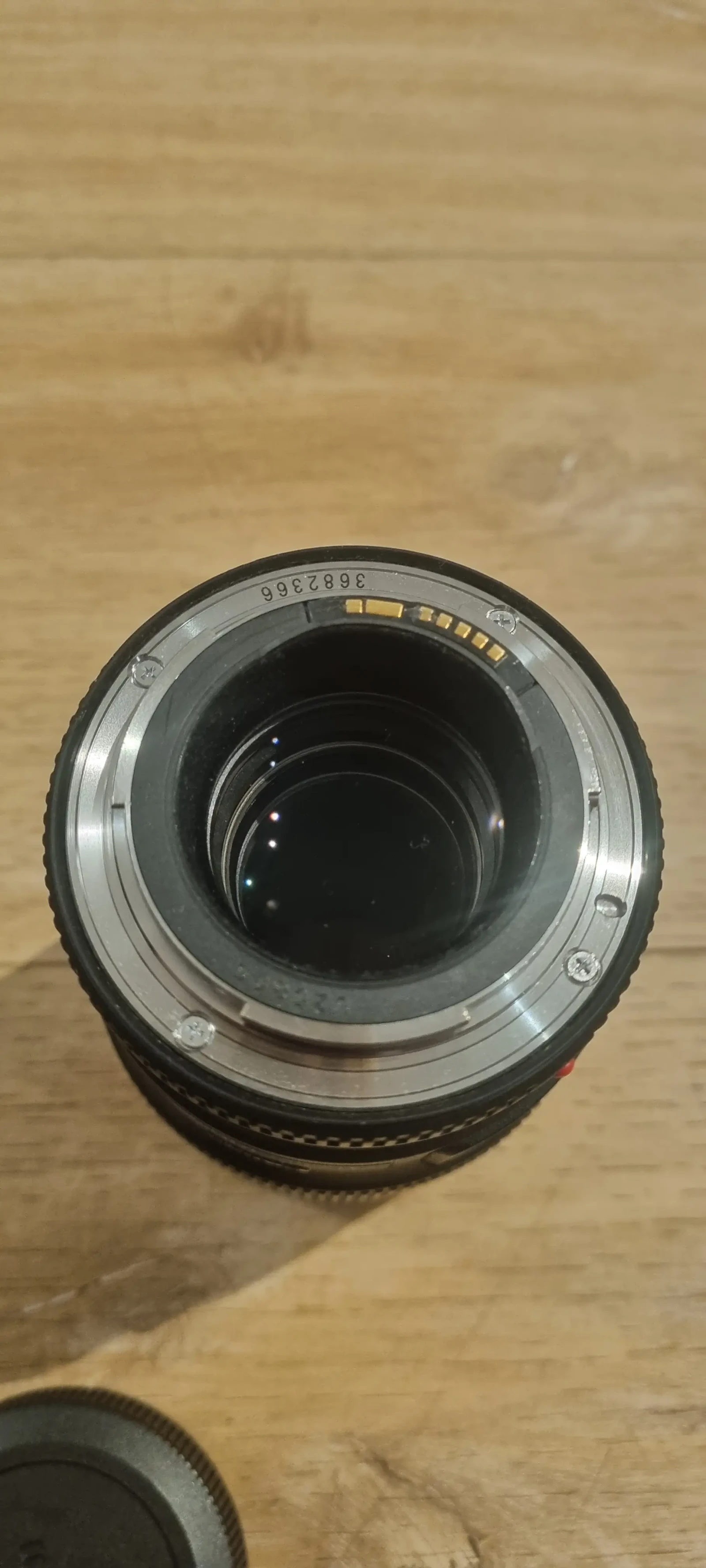 Canon EF 100mm f/2.8L Macro IS USM - Photo 3 sur 3
