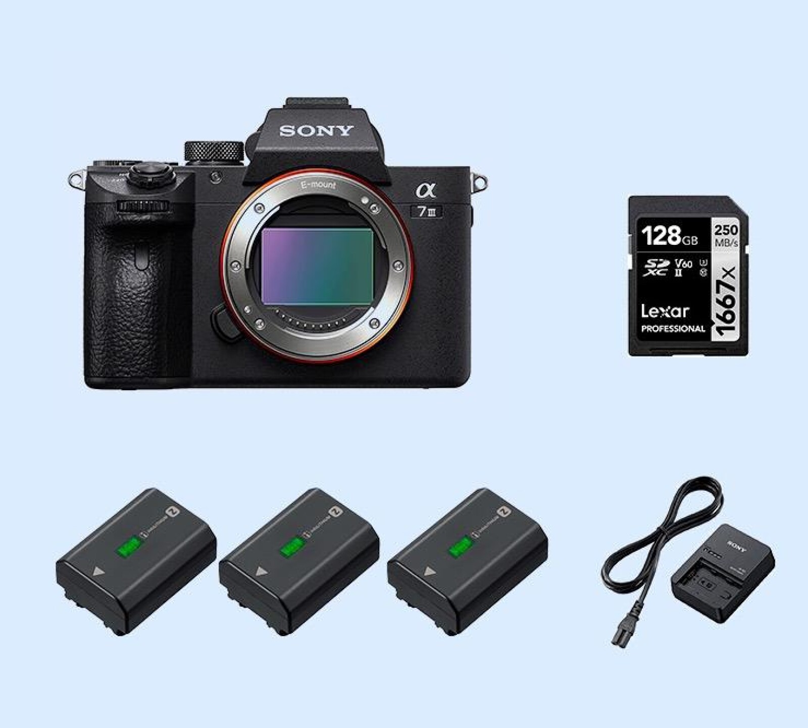 Sony Alpha 7 III (A73) - Photo 1 sur 1