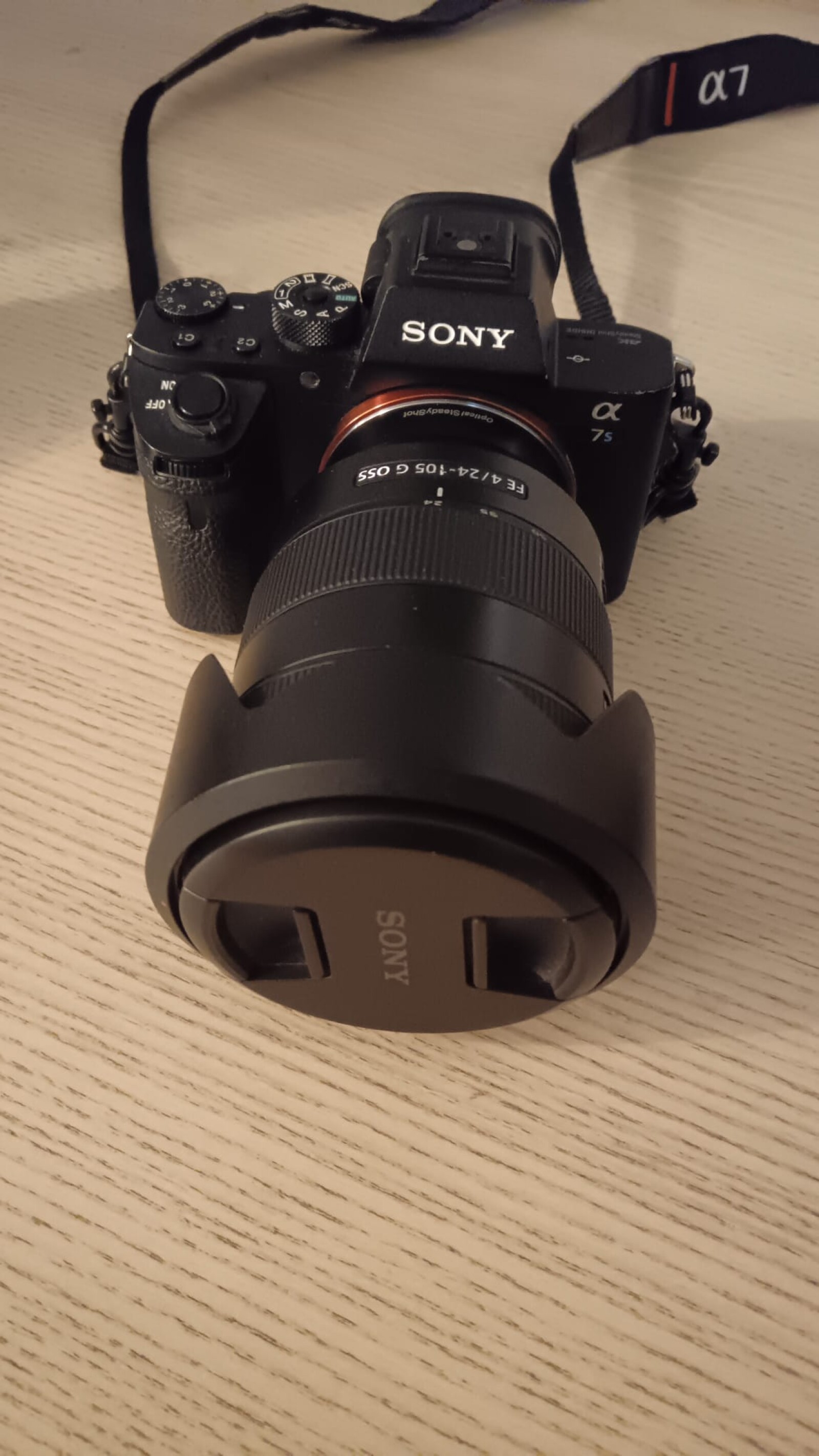 Sony Alpha 7S II (A7S2) - Photo 1 sur 1
