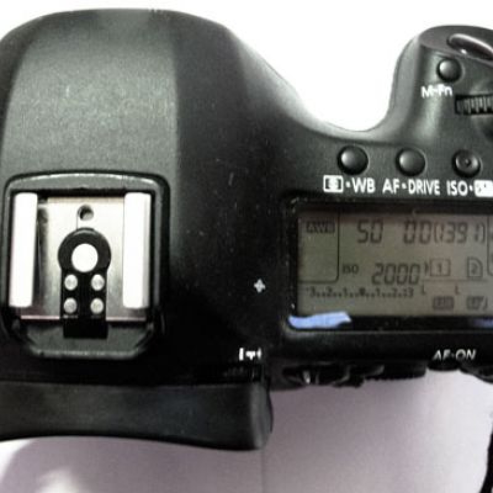 Canon 5D Mark III - Photo 3 sur 3