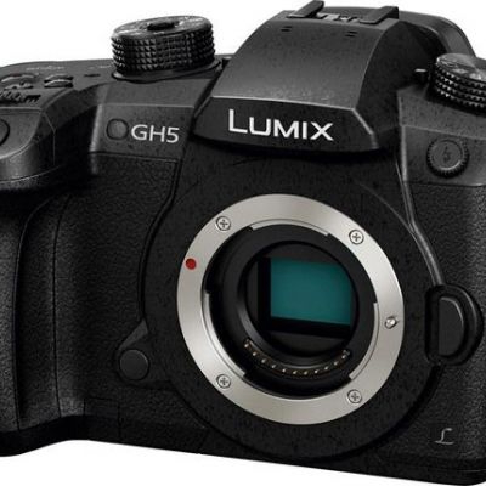 PANASONIC GH5 - Photo 1 sur 3