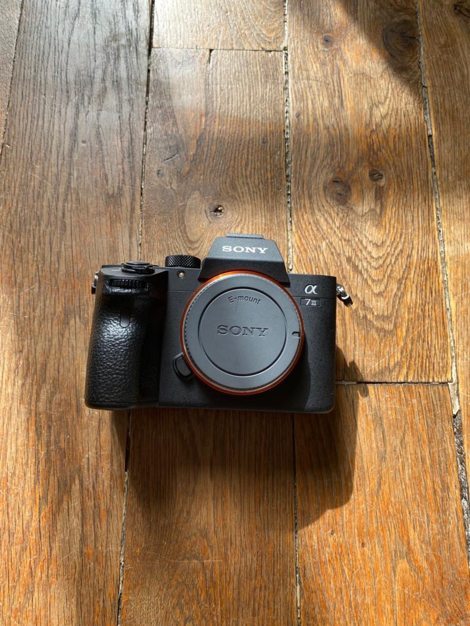 Sony Alpha 7iii boitier nu  - Photo 1 sur 3