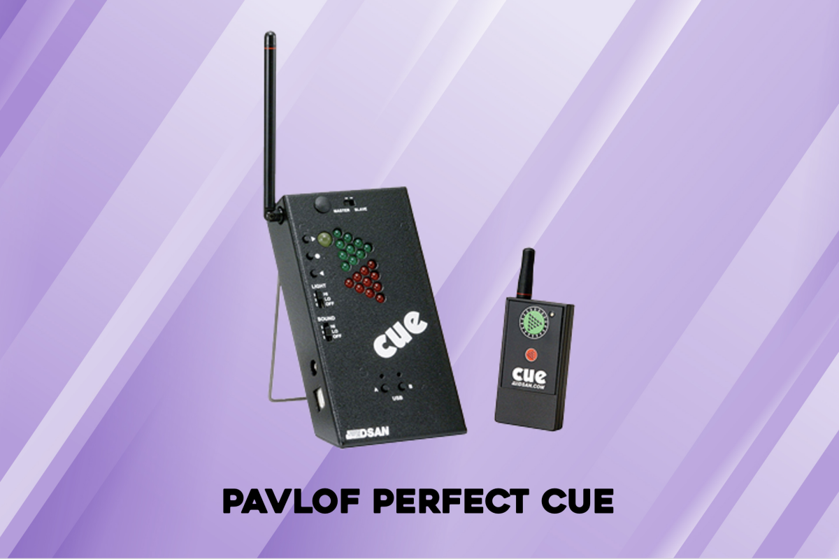 Location Pavlof PerfectCue MINI - Lightyshare