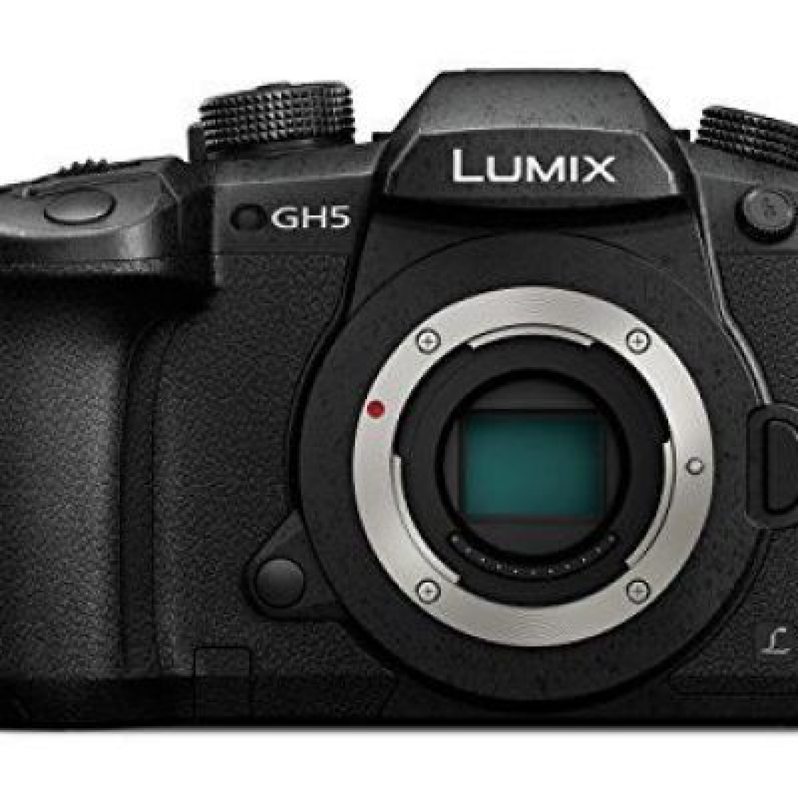 Panasonic GH5 + VLOG - Photo 1 sur 1