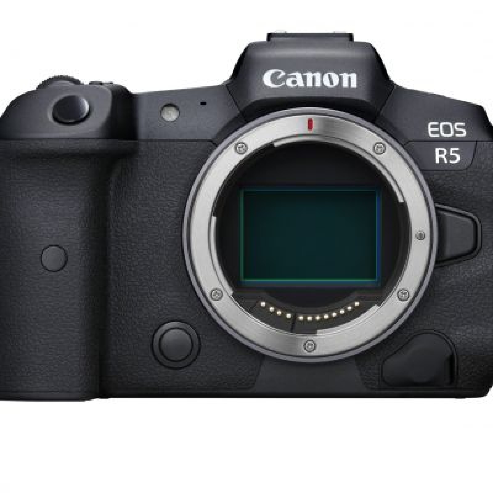 Canon EOS R5 - Photo 1 sur 4